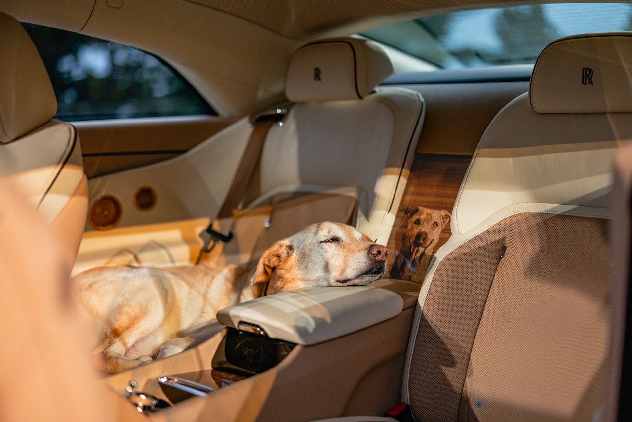 0. Rolls-Royce Spectre Bailey Large.jpeg
