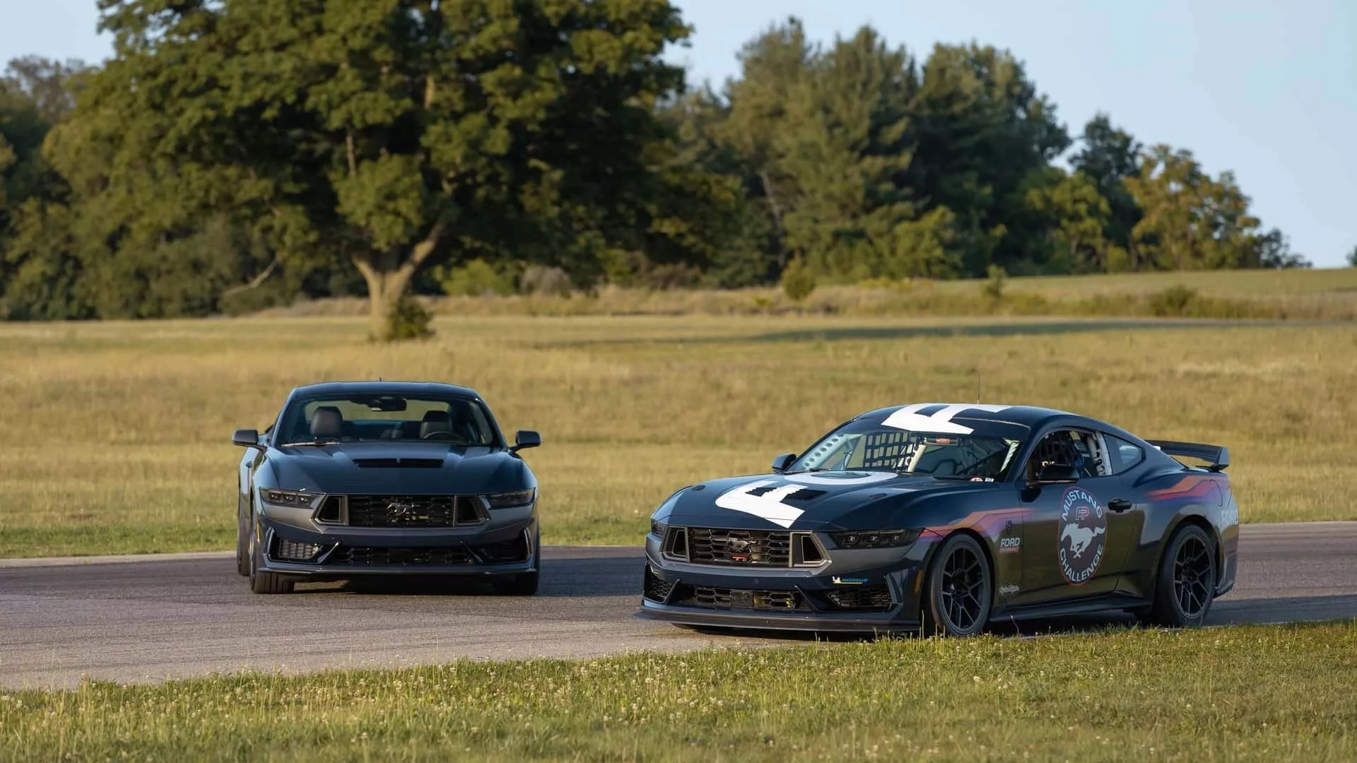 2024-Ford-Mustang-Dark-Horse-R-4.jpeg