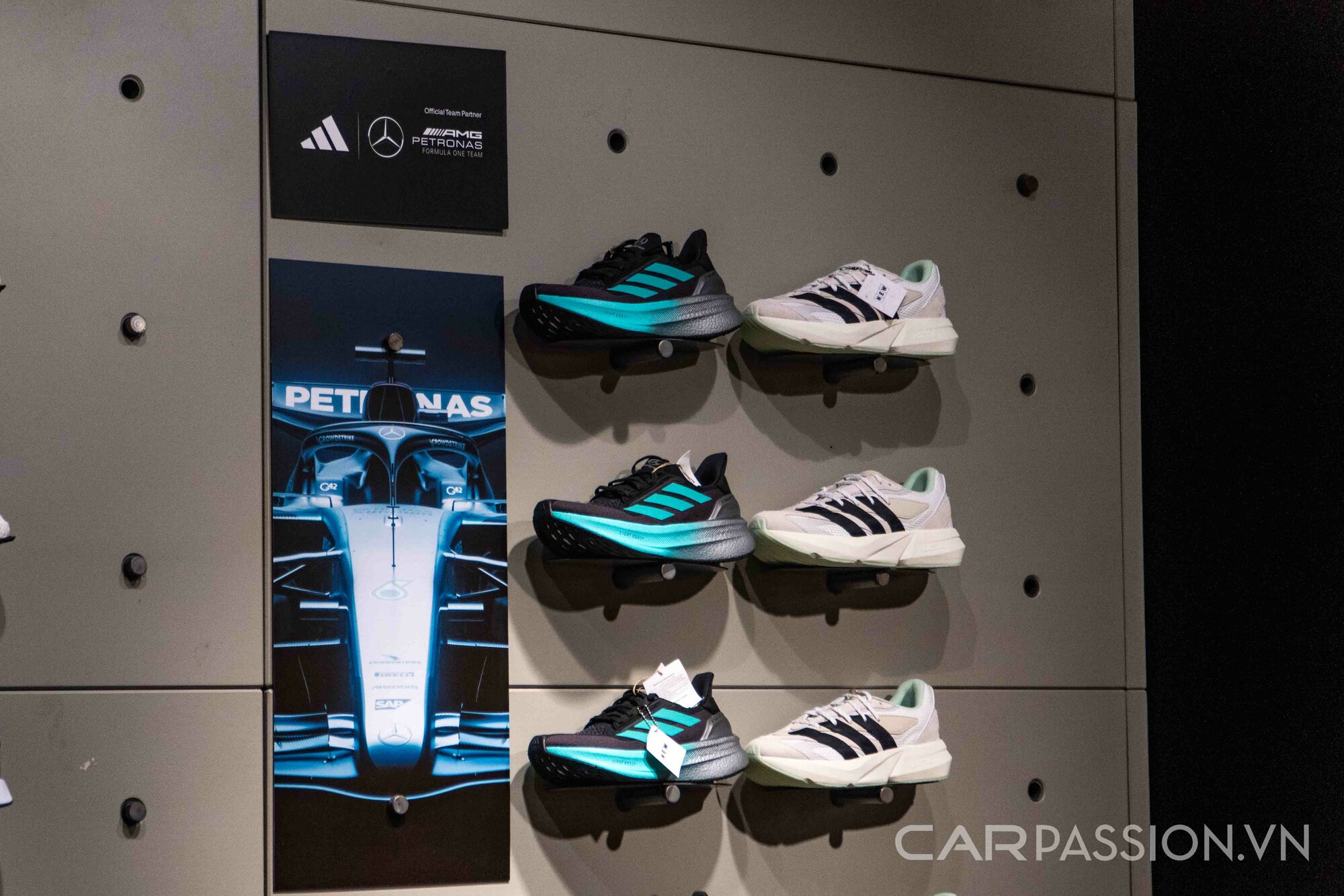 adidas-mercedes-anh--18.jpg