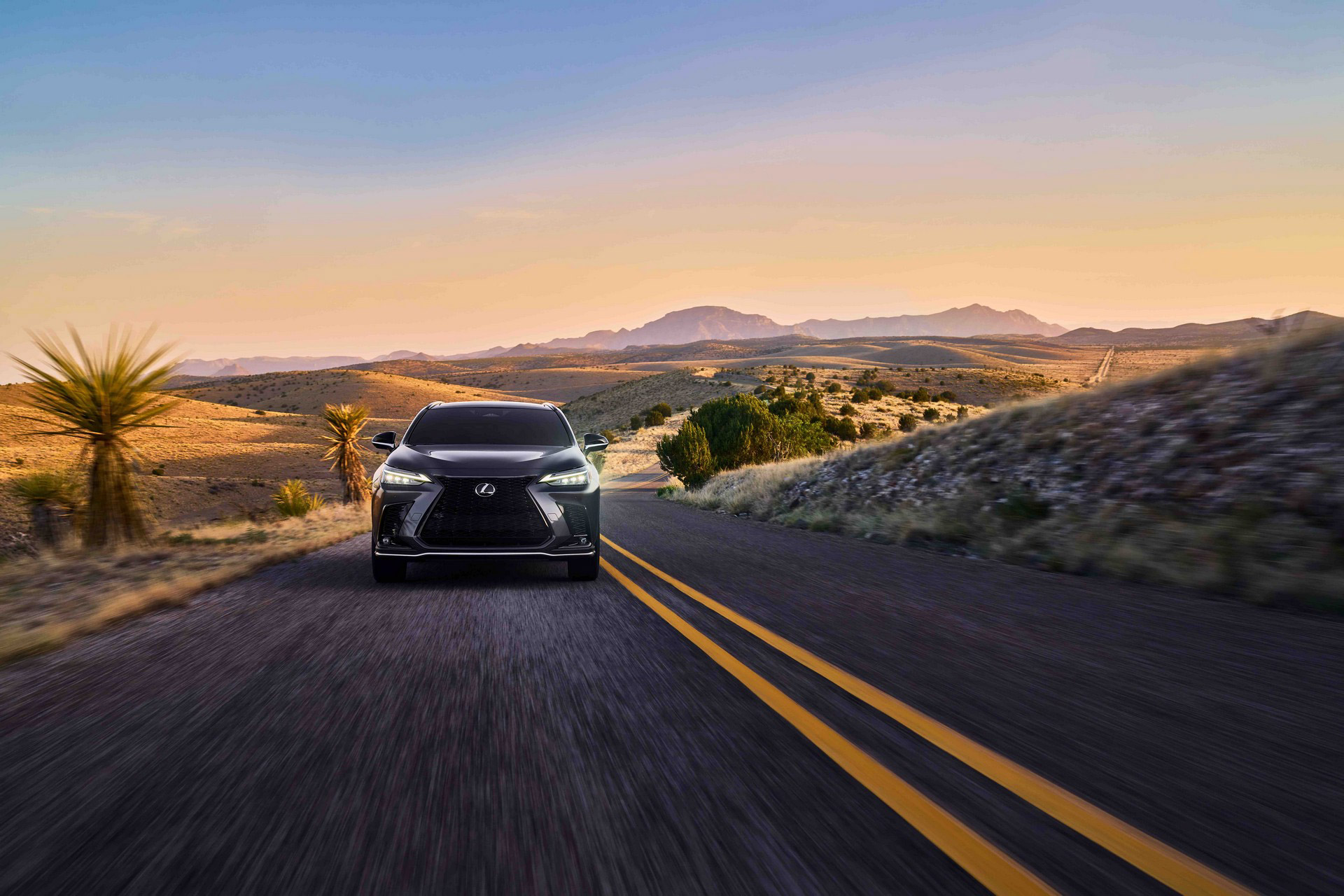 All New NX  (5).JPG