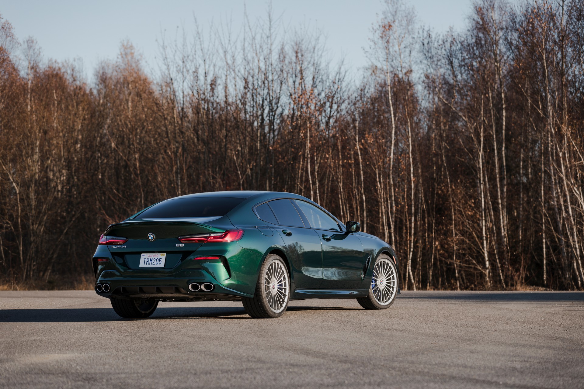 Alpina B8 Gran Coupe (13).jpg