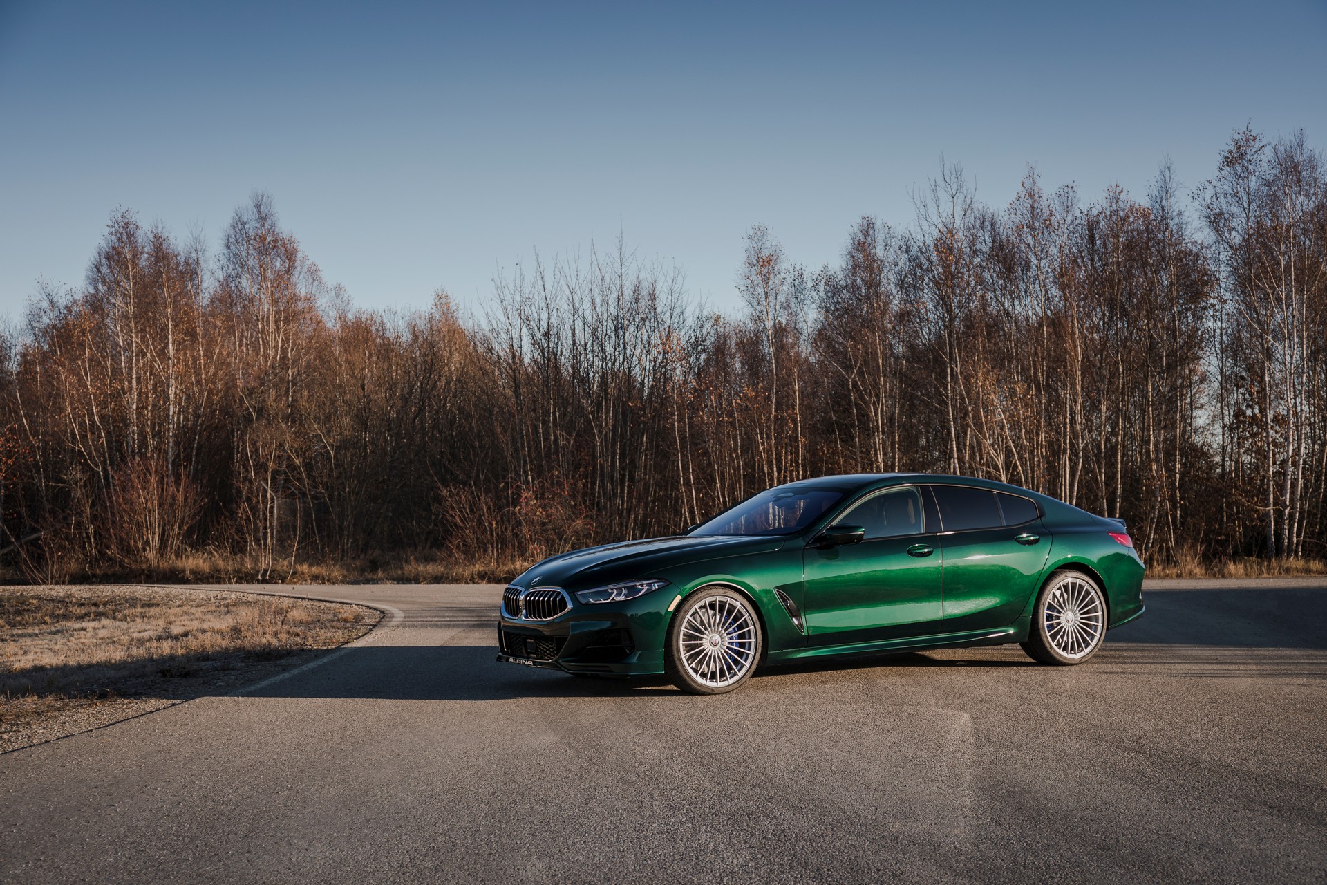Alpina B8 Gran Coupe (15).jpg