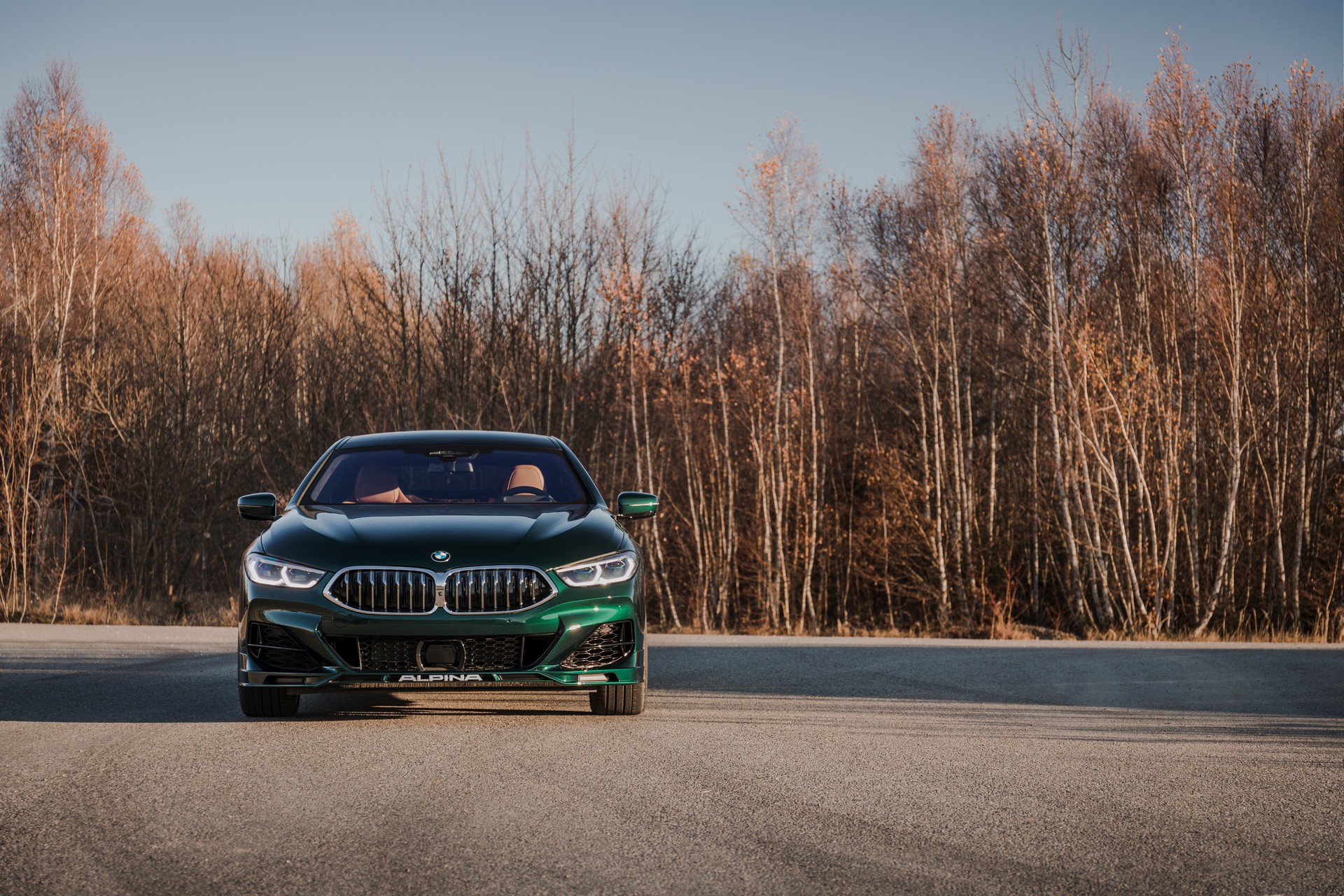 Alpina B8 Gran Coupe (16).jpg