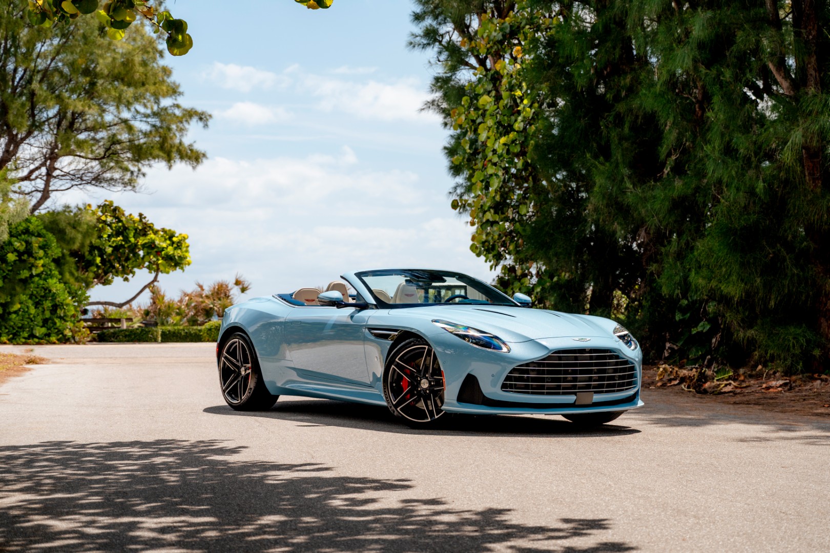 Aston Martin DB12 Volante - Palm Beach Edition 14 (Large).jpg