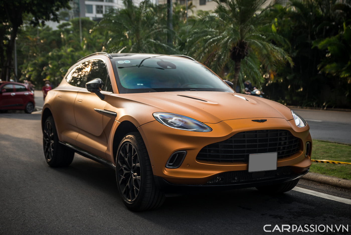 Aston Martin DBX màu độc  (10).JPG