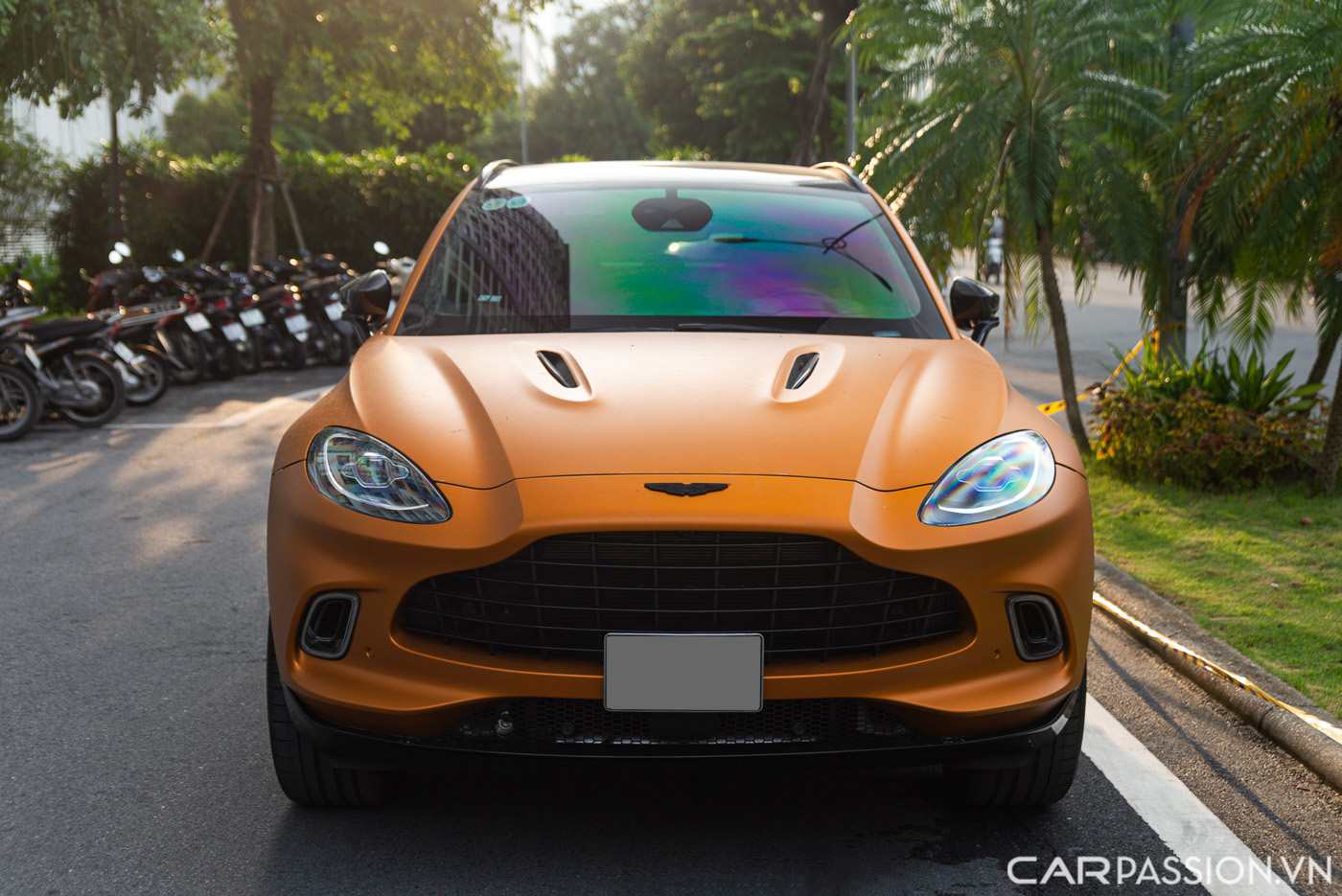 Aston Martin DBX màu độc  (11).JPG