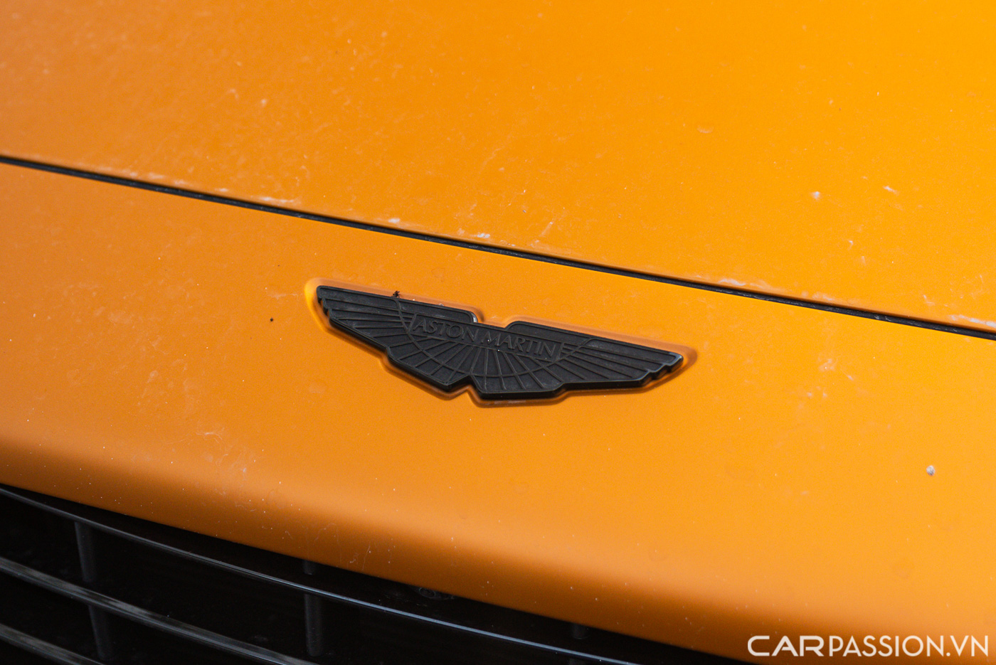 Aston Martin DBX màu độc  (12).JPG