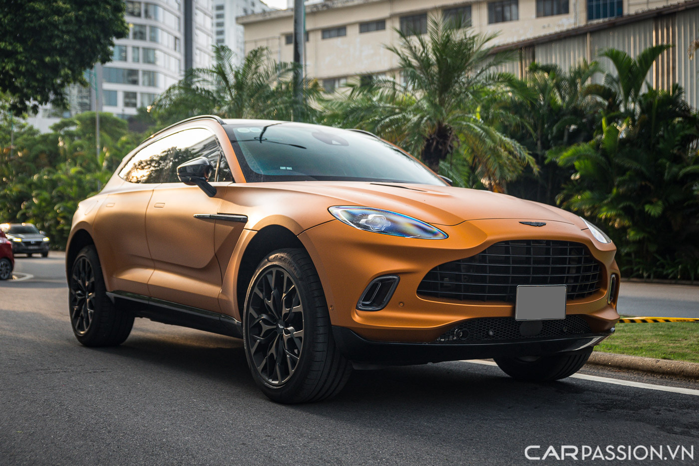 Aston Martin DBX màu độc  (14).JPG
