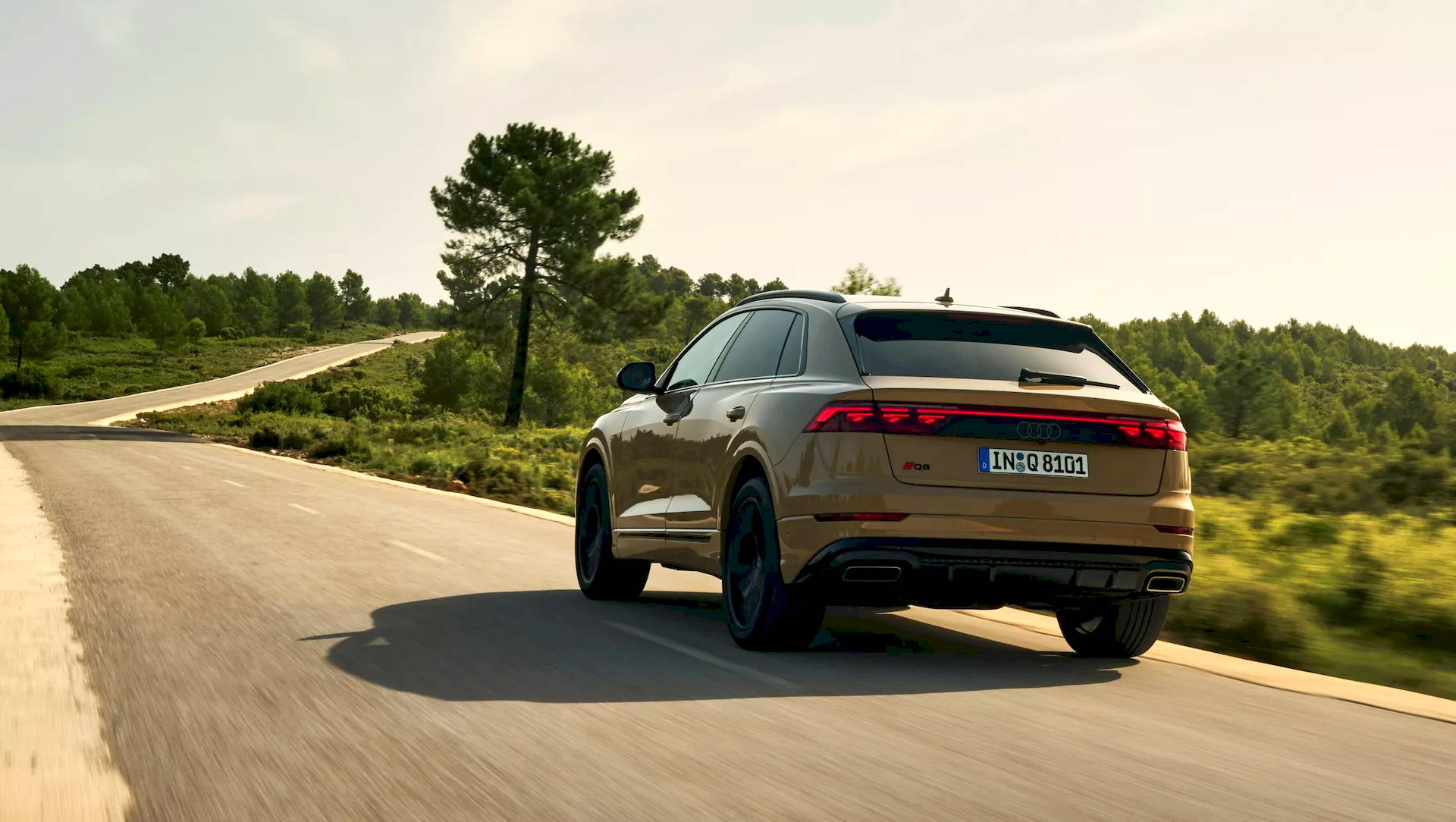 audi-q8-2024-13.jpg