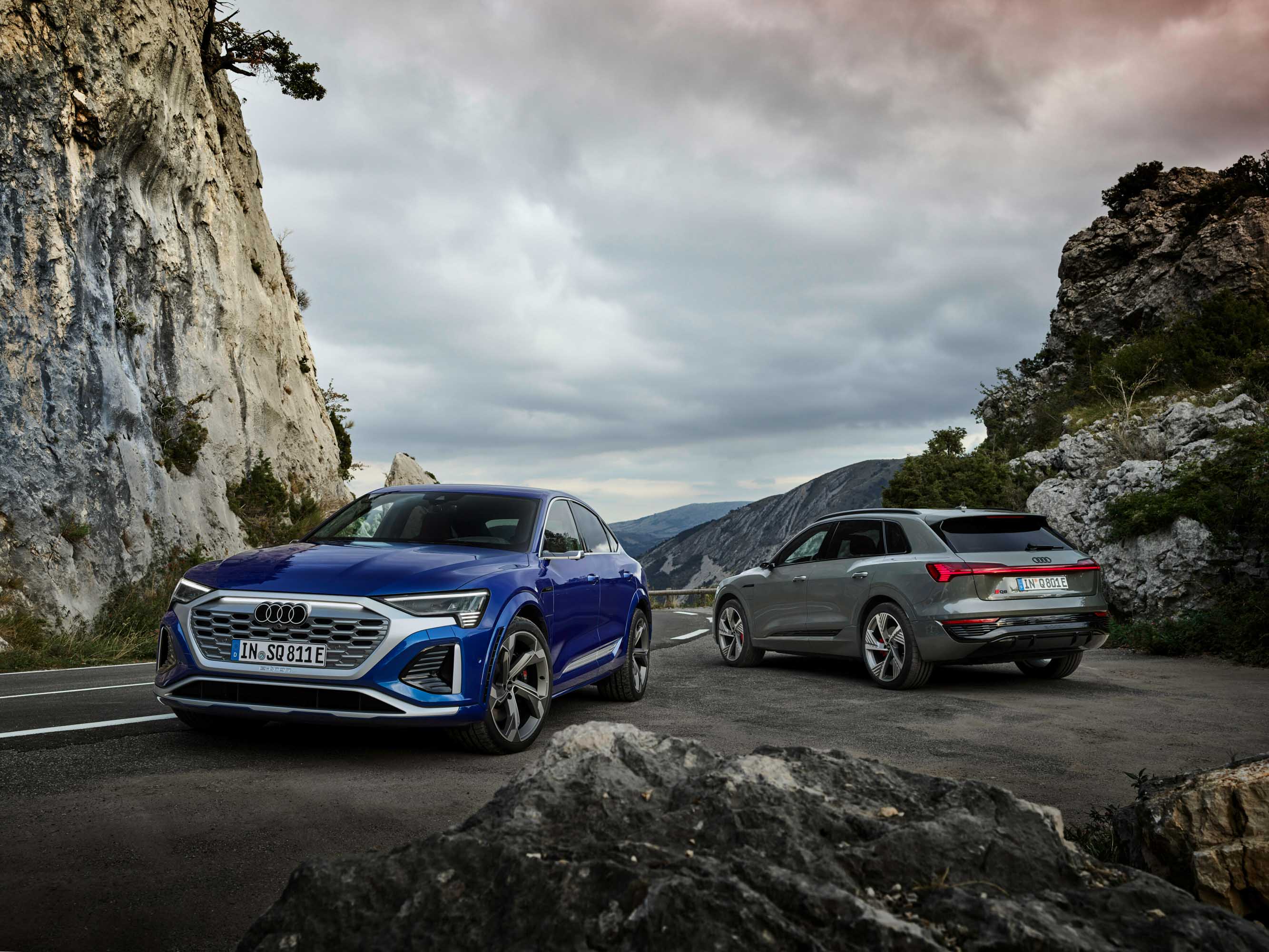 audi-q8-etron-anh-_5.jpg