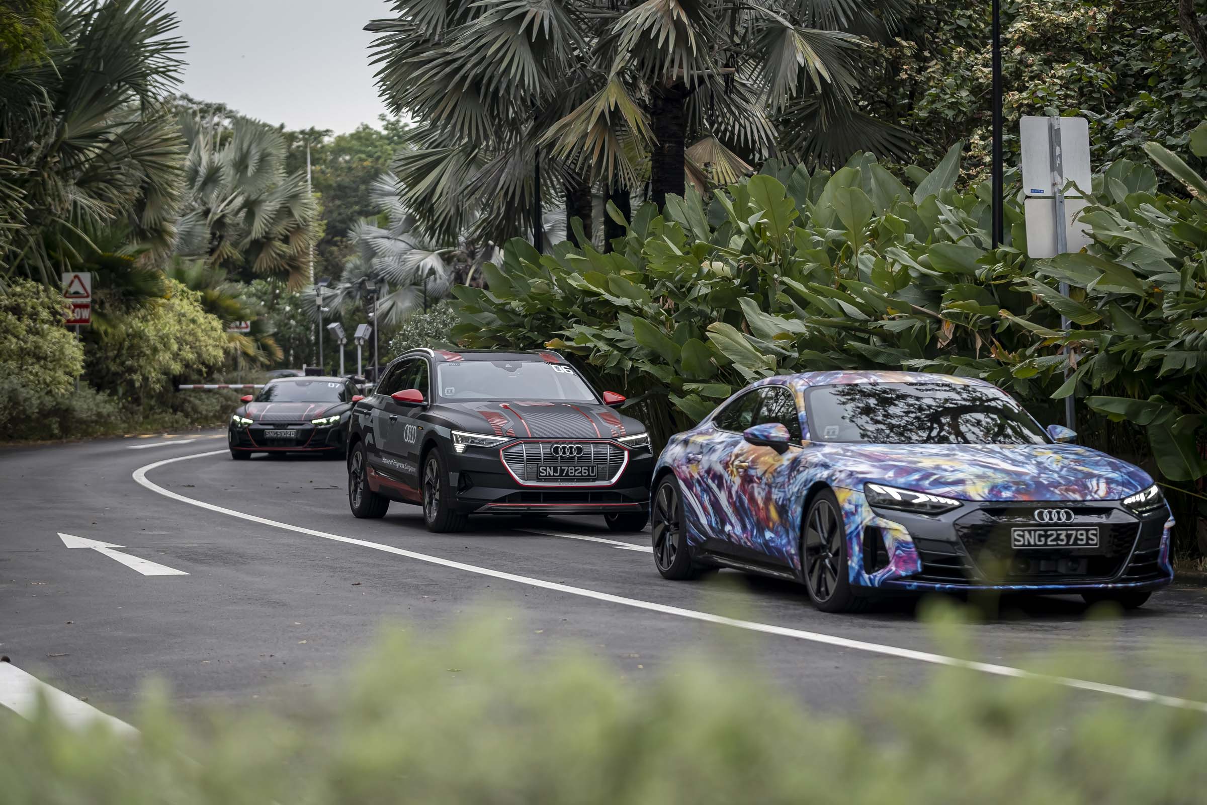 Audi-sing-anh-_8.JPG