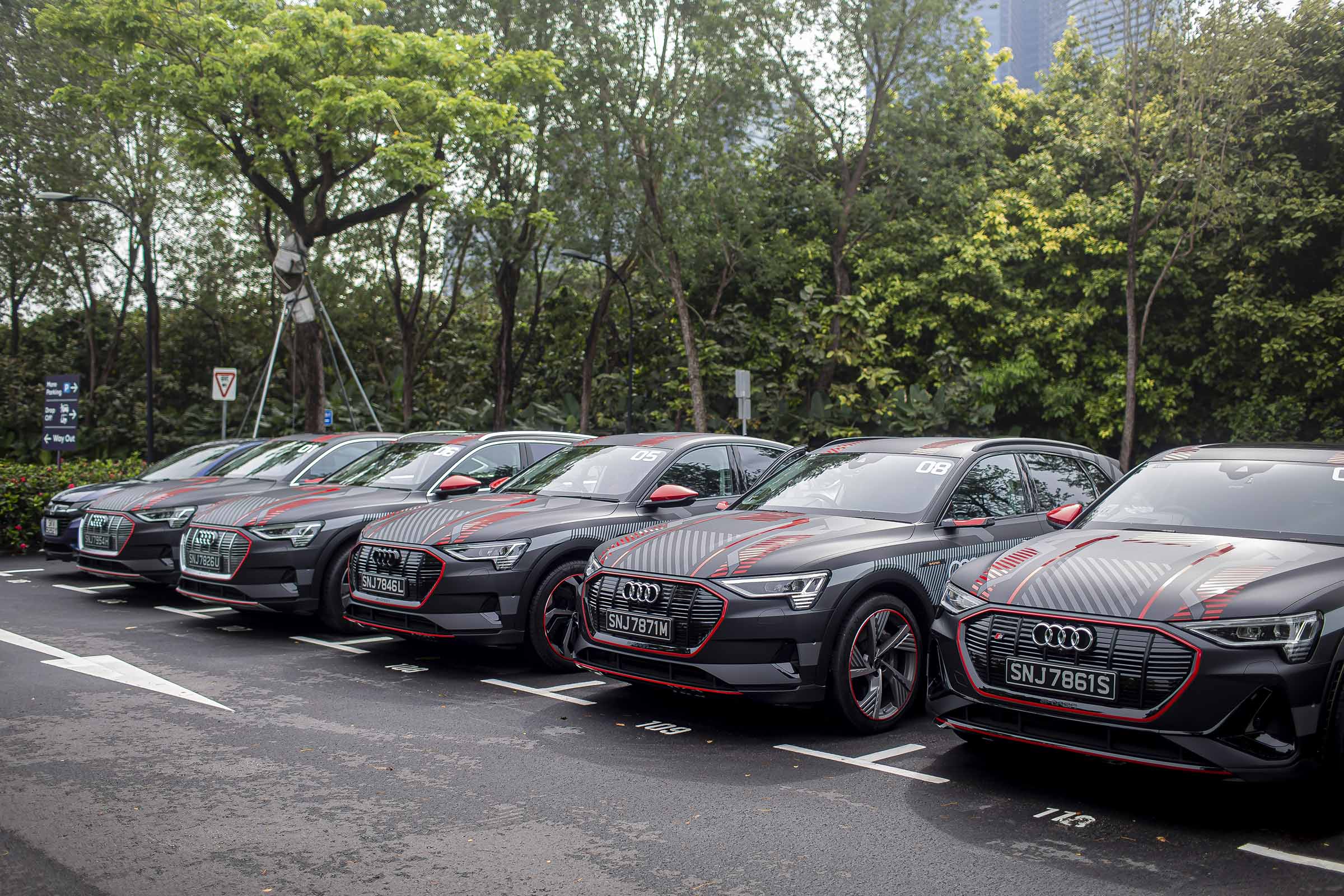 Audi-sing-anh-_9.JPG