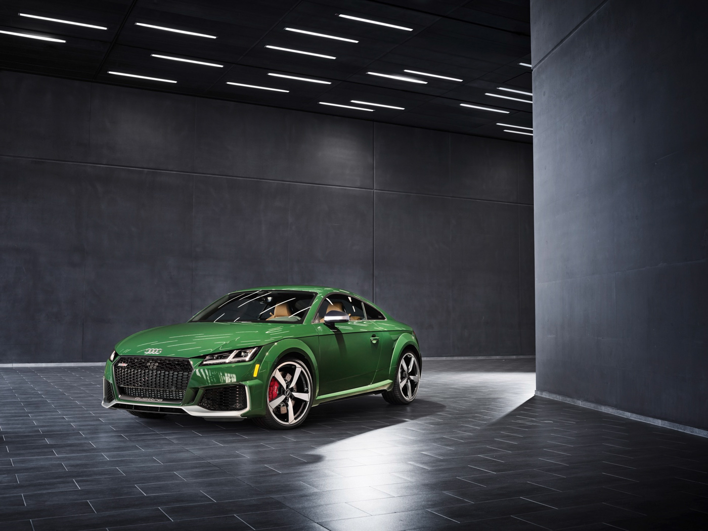 Audi TT RS Heritage Edition (21).JPG