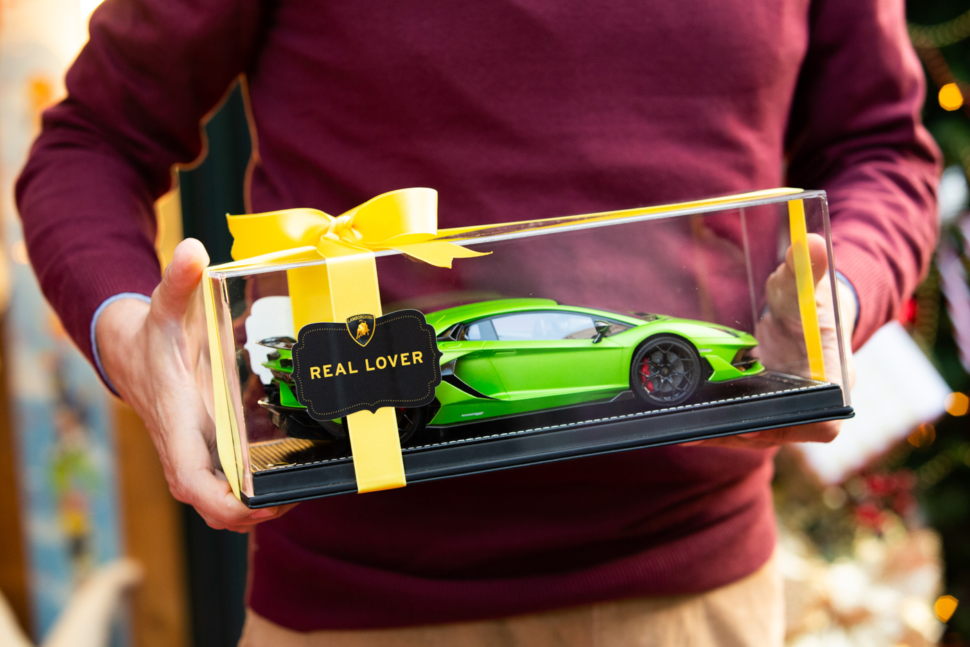 Aventador (2).JPG