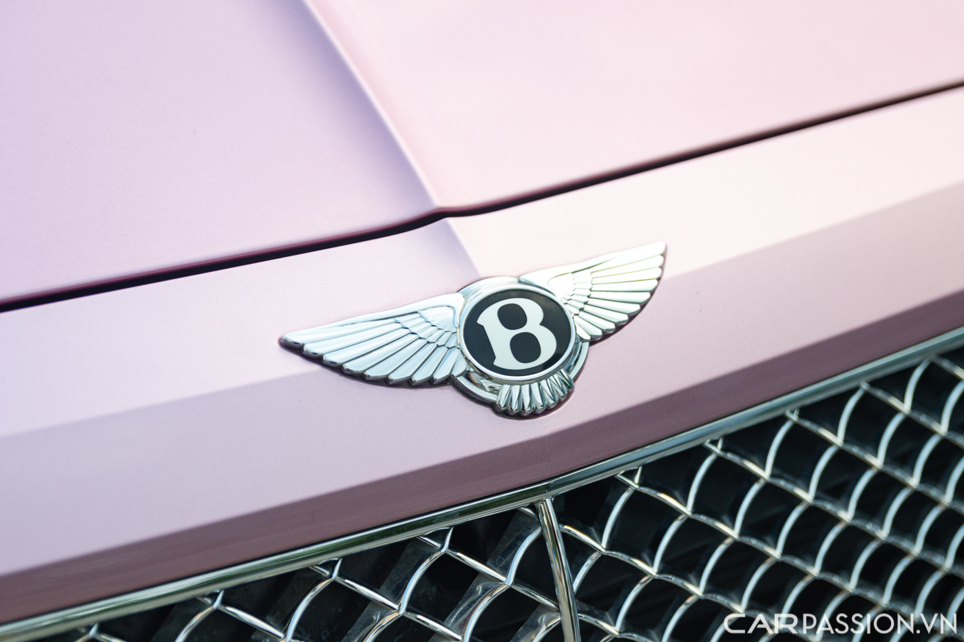 Bentley Bentayga màu độc (4).JPG