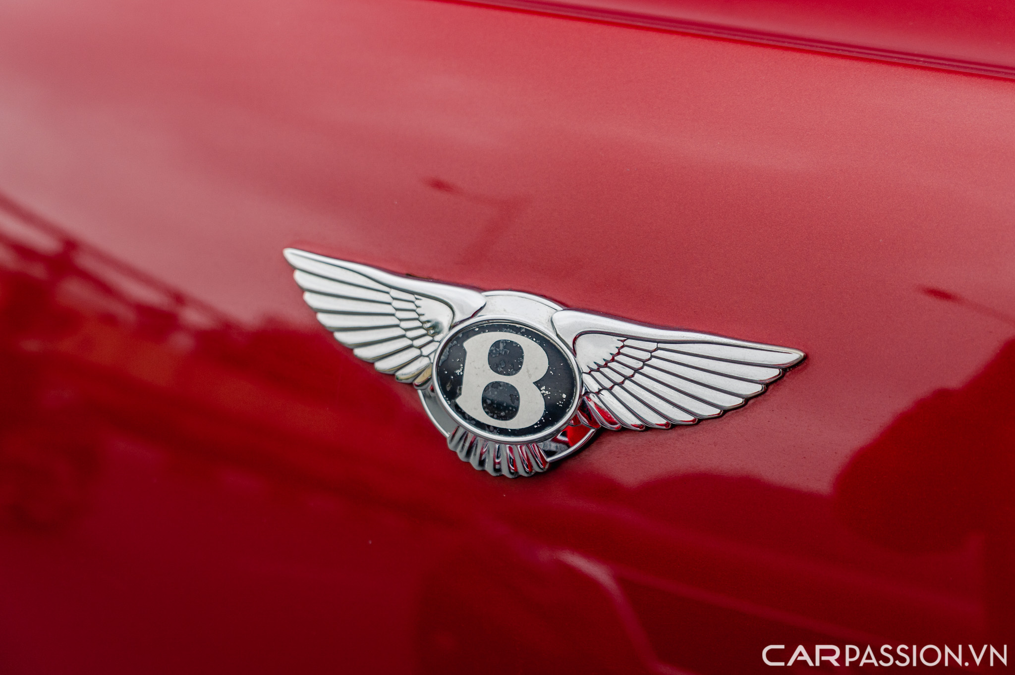 Bentley Continental Flying Spur (15).jpg