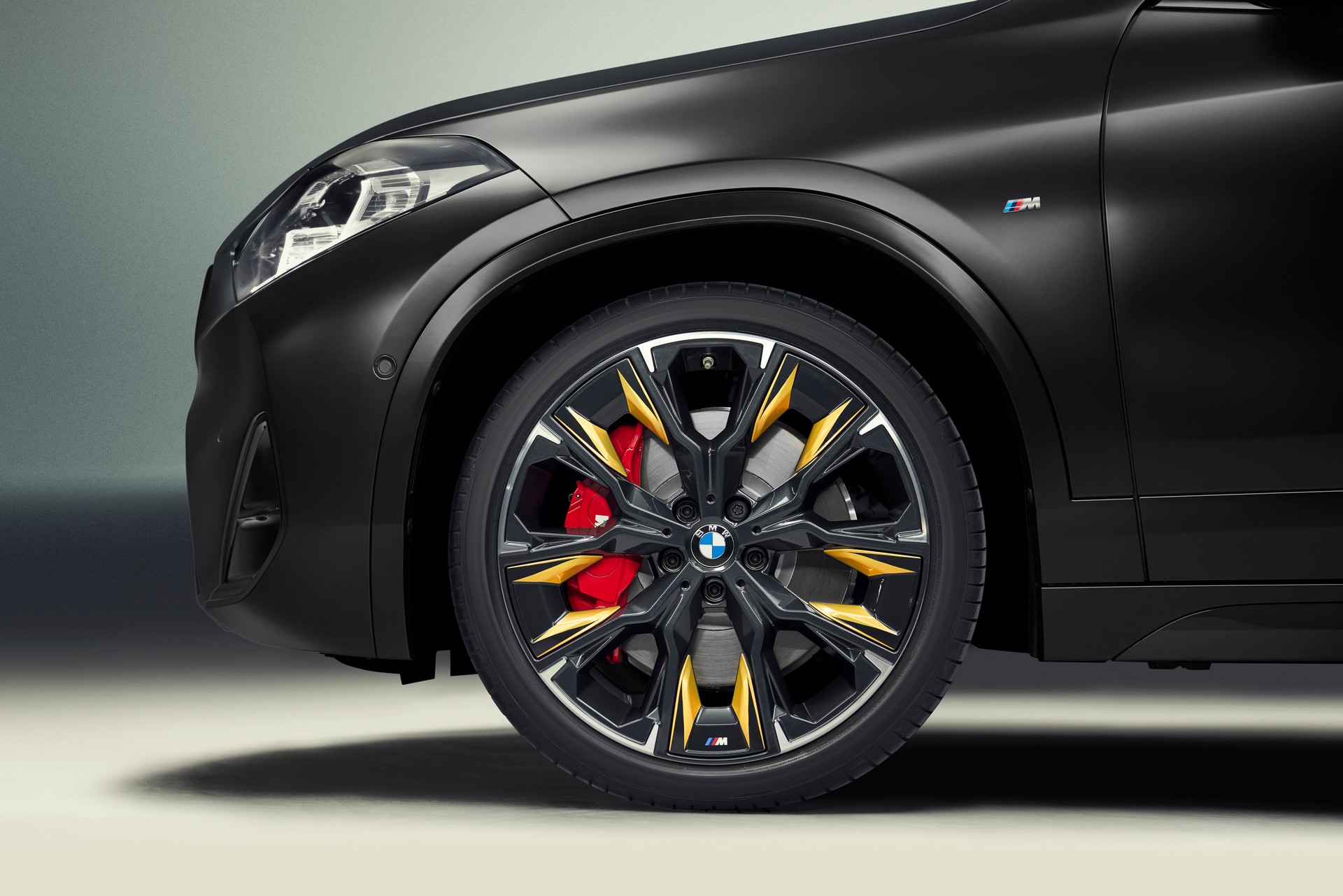 BMW X2 GoldPlay (7).jpg