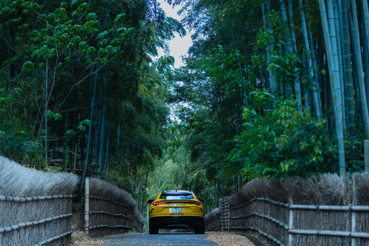 Bộ-đôi-Lamborghini-Urus-vượt-hơn-6.500-km-trong-hành-trình-xuyên-Nhật-Bản (30).jpg