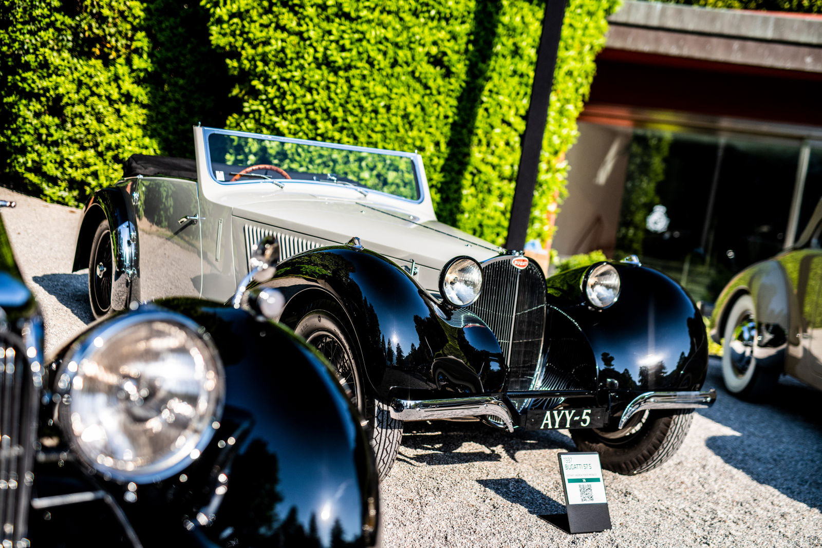Bugatti  concorso (10).JPG