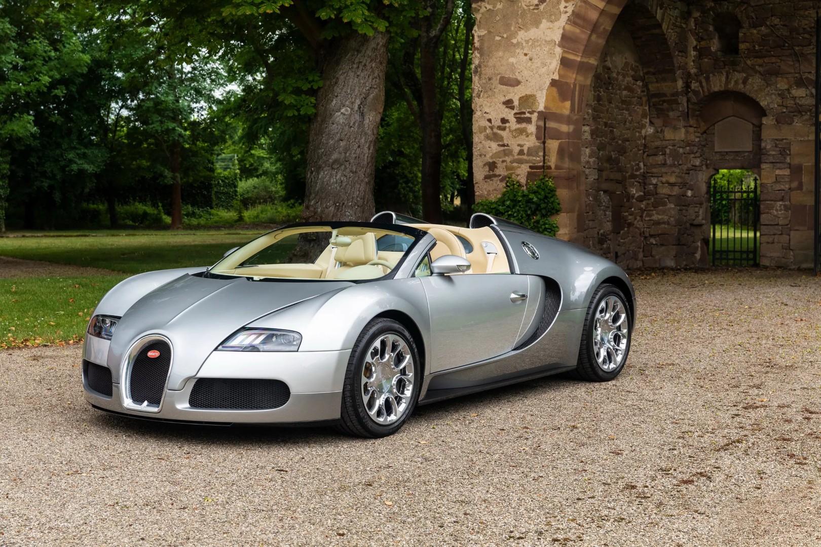 Bugatti-Veyron-000010 (Large).jpeg