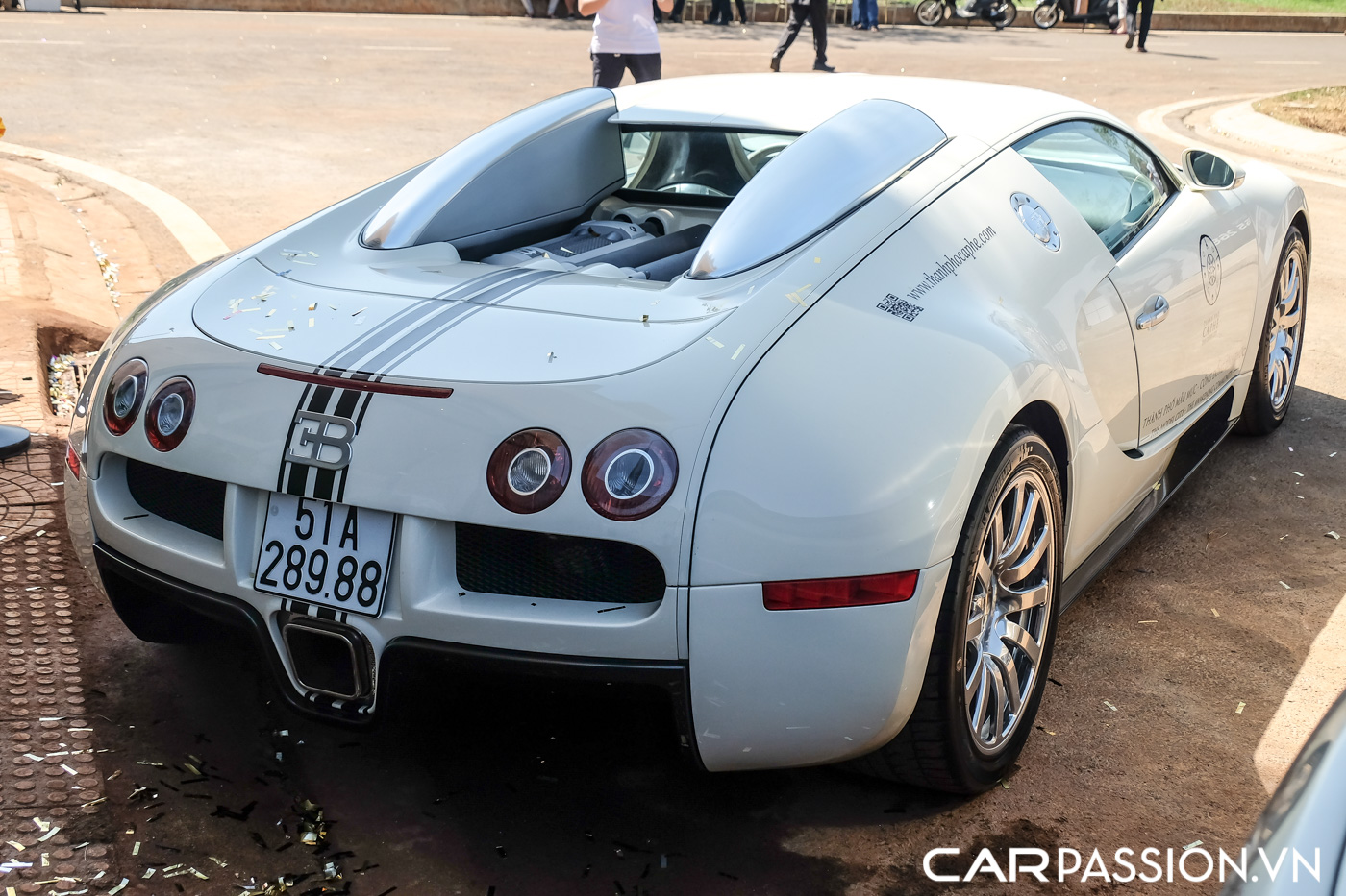 Bugatti Veyron (11).JPG