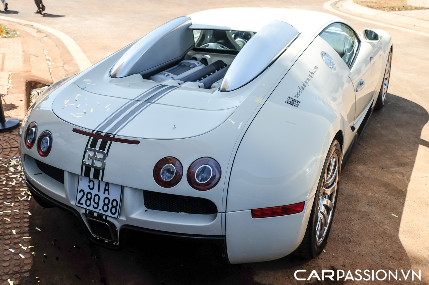 Bugatti Veyron (15).JPG