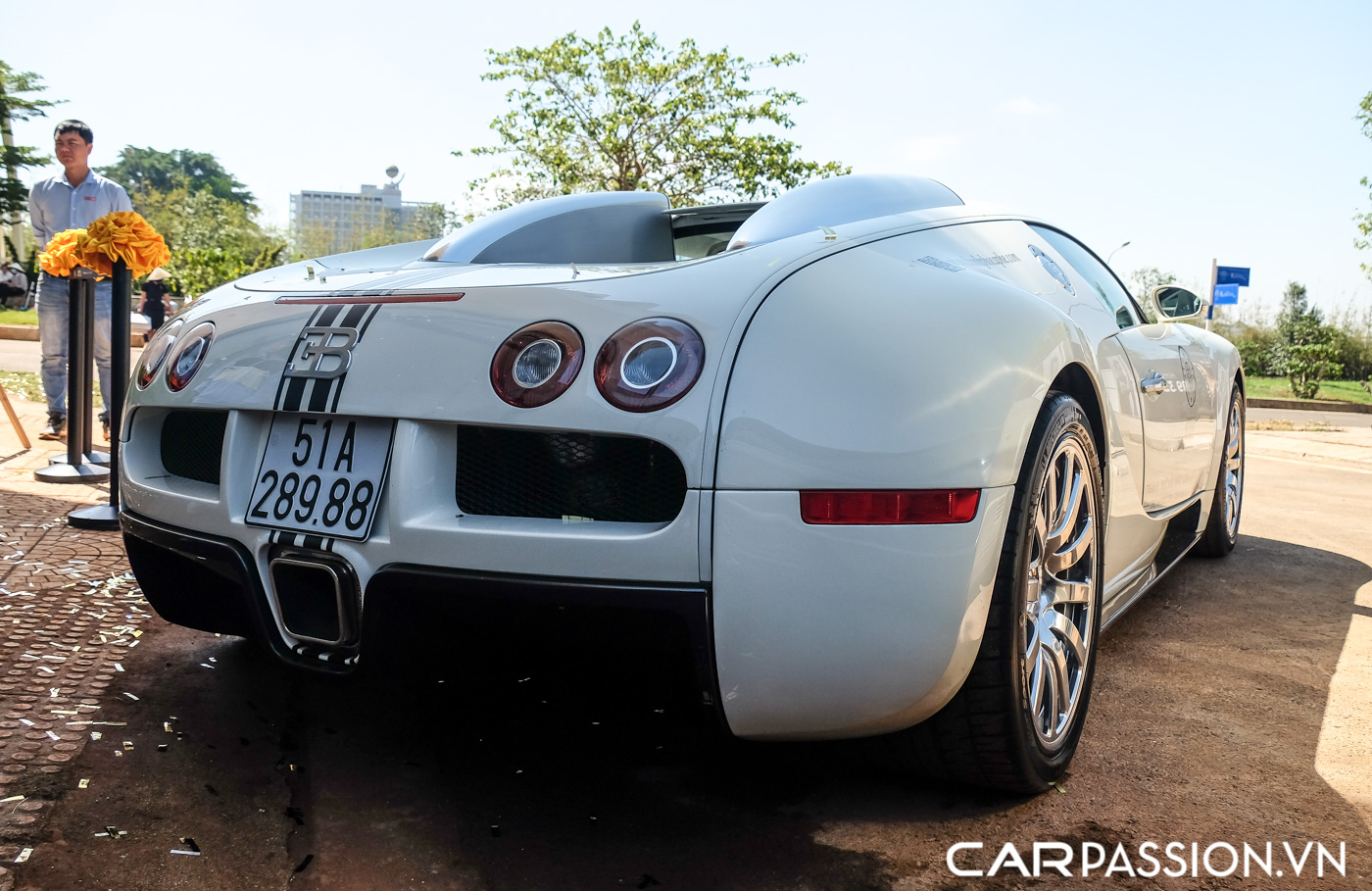 Bugatti Veyron (16).JPG