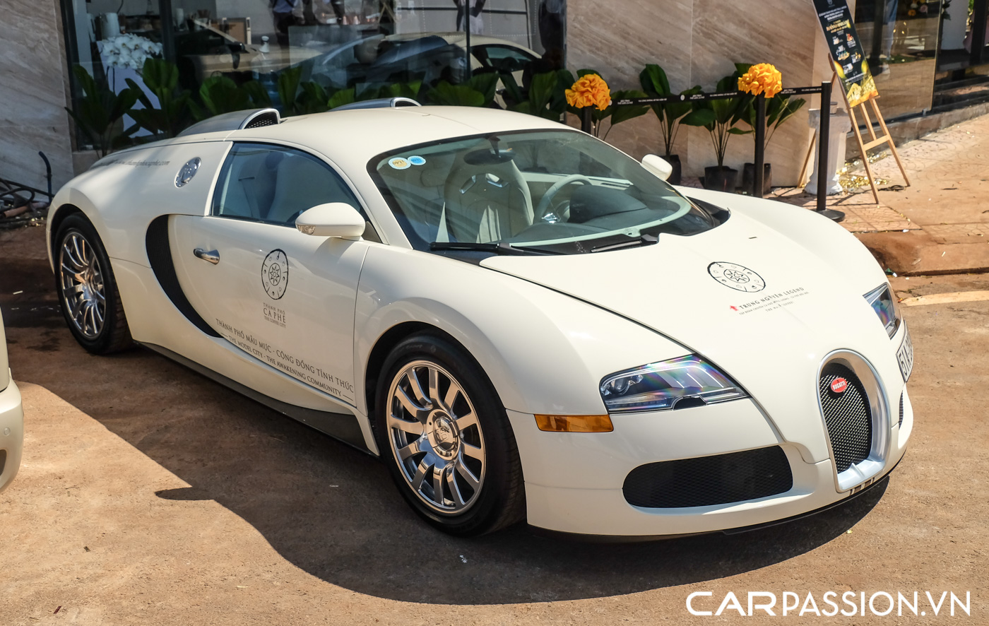 Bugatti Veyron (23).JPG