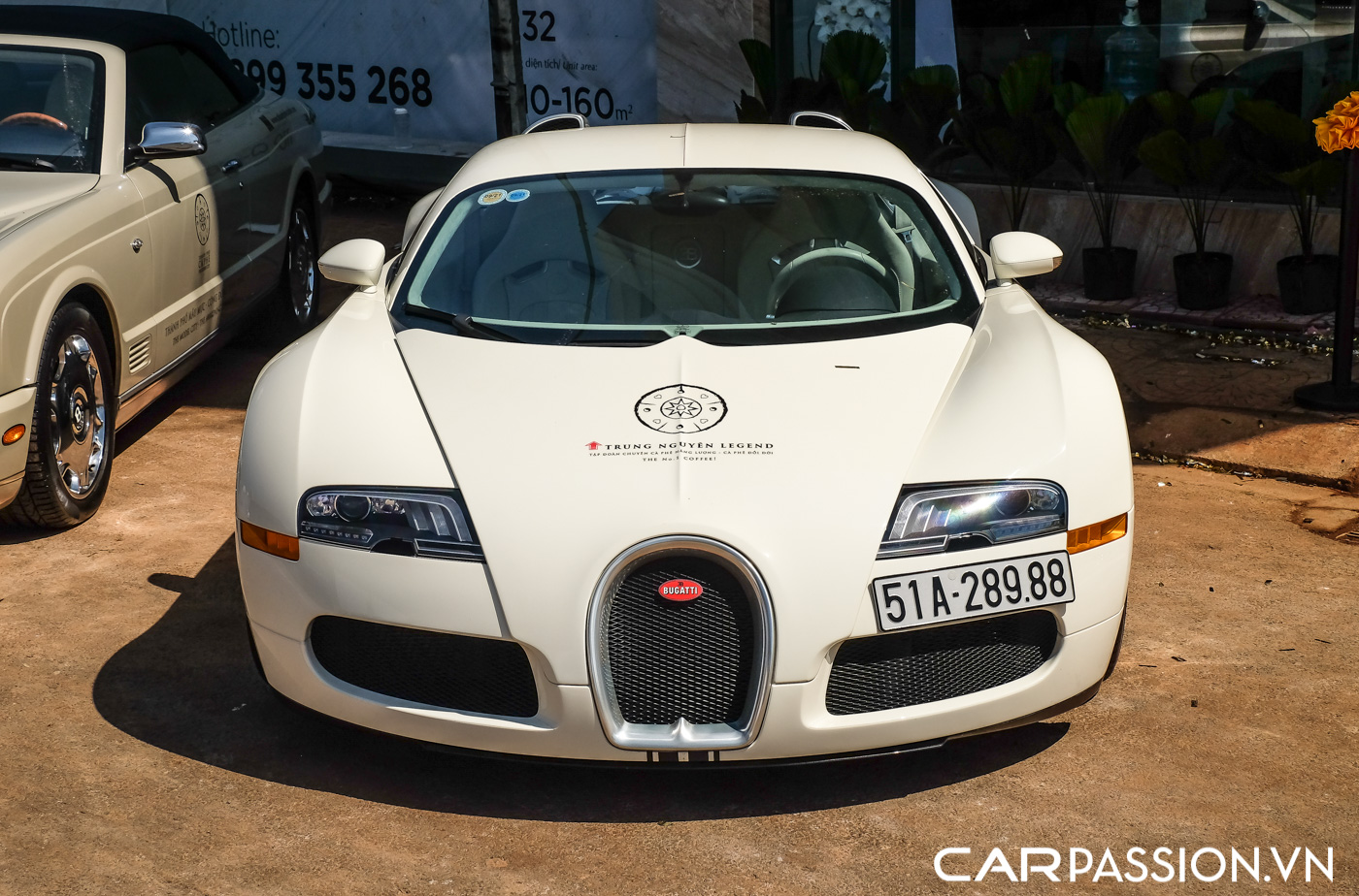 Bugatti Veyron (24).JPG