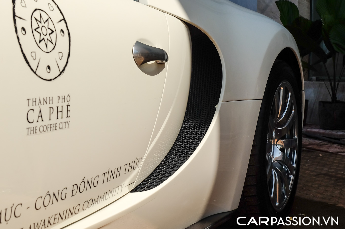 Bugatti Veyron (8).JPG