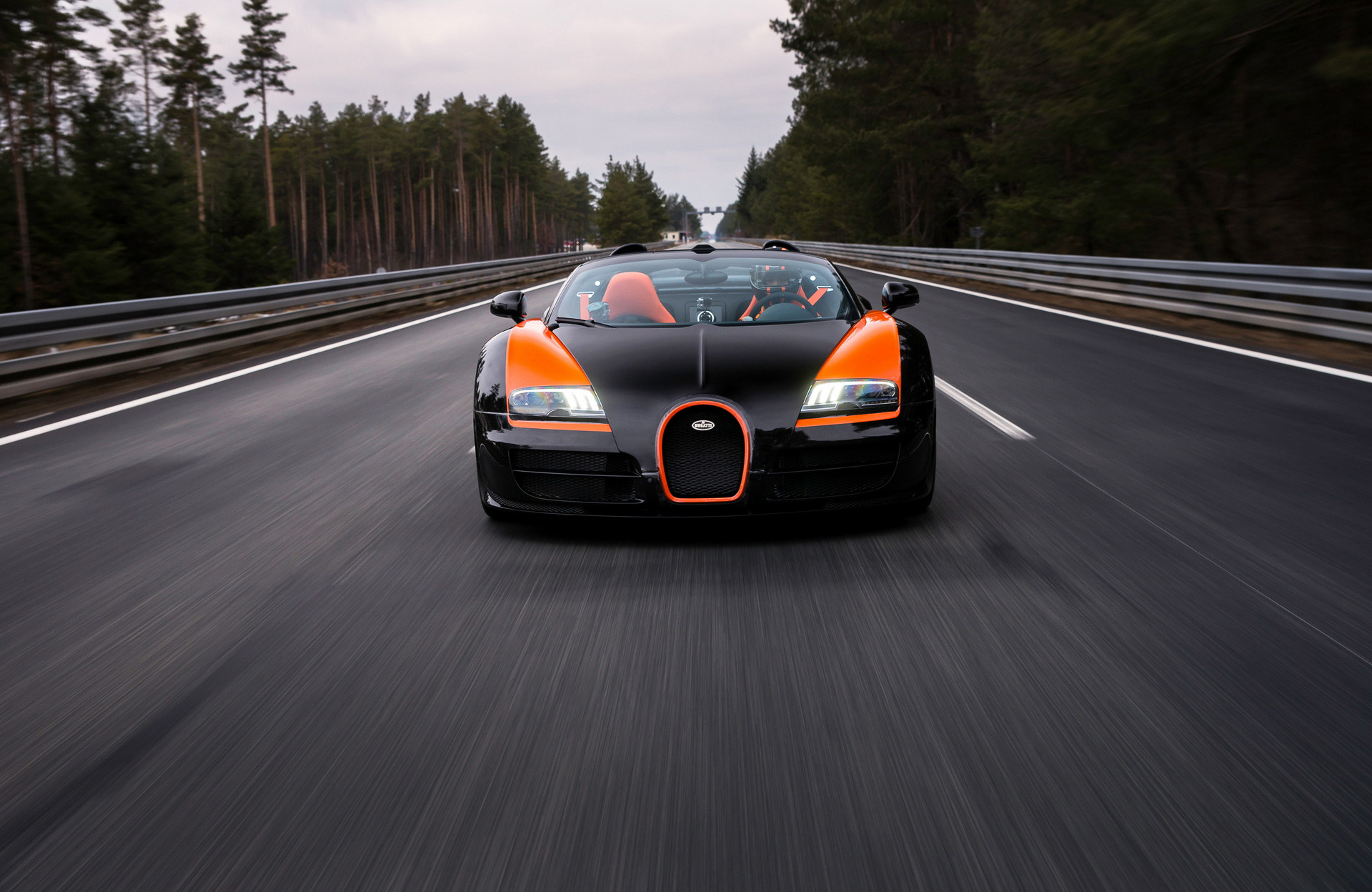 Bugatti Veyron Grand Sport (13).JPG
