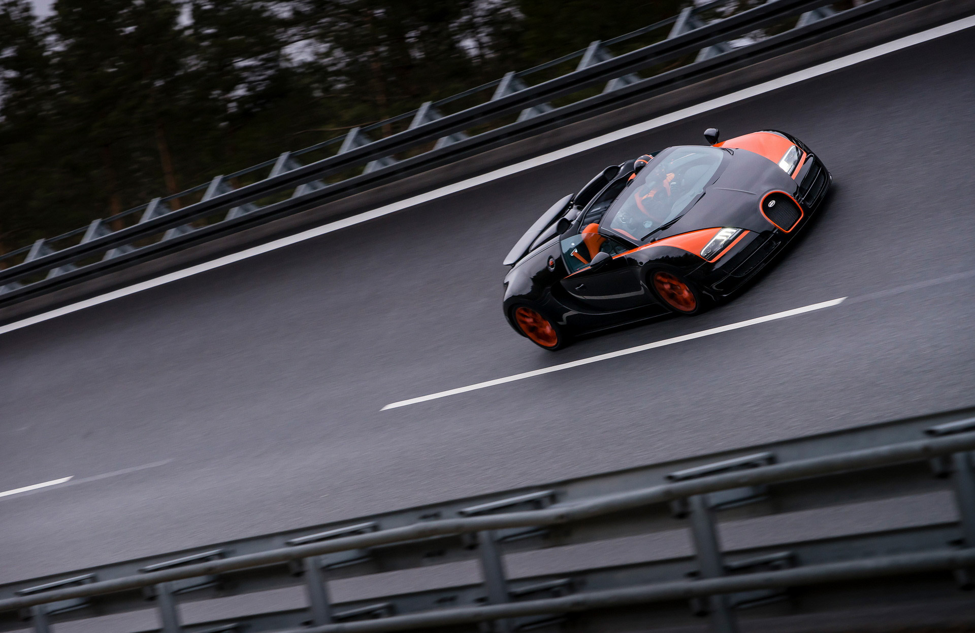 Bugatti Veyron Grand Sport (14).JPG