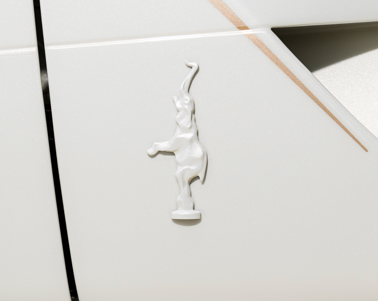 Bugatti W16 Mistral ‘La Perle Rare’-anh-15.jpg