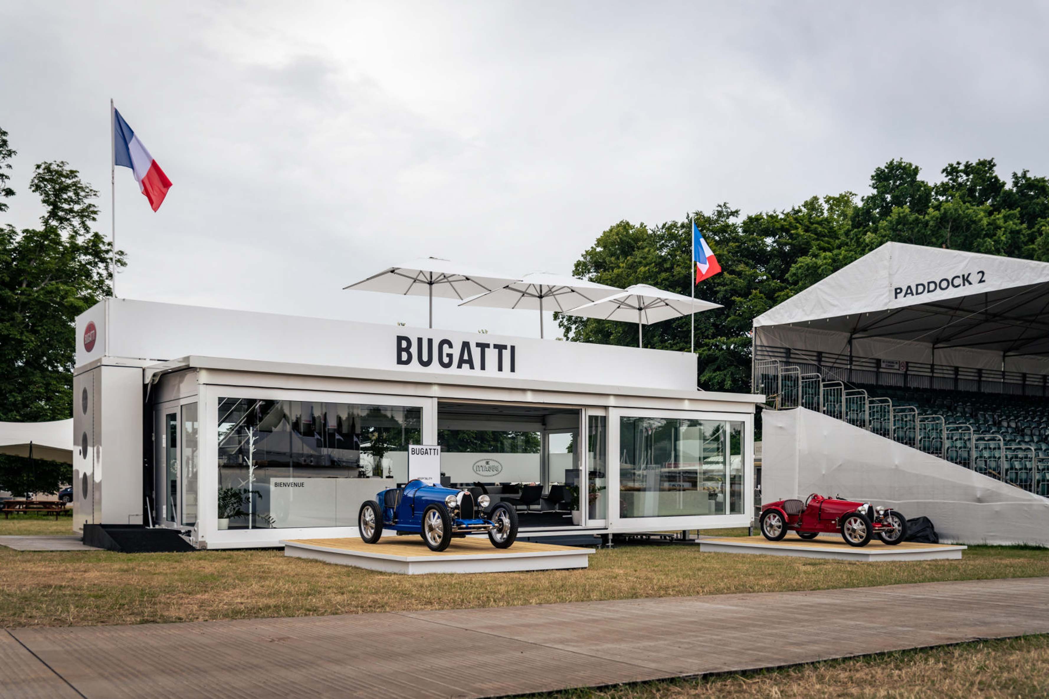 Bugatti WRC Edition (1).JPG