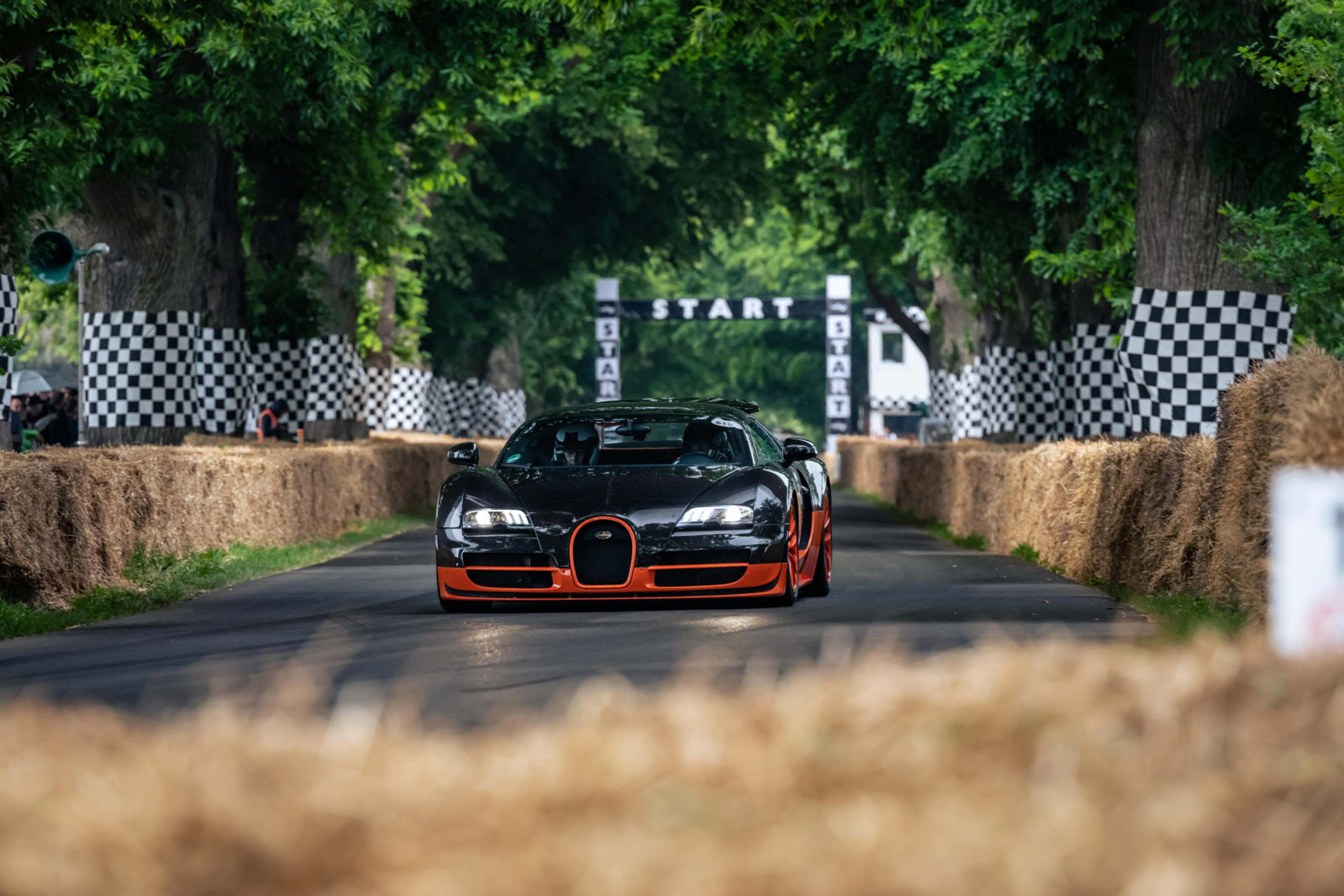 Bugatti WRC Edition (9).JPG