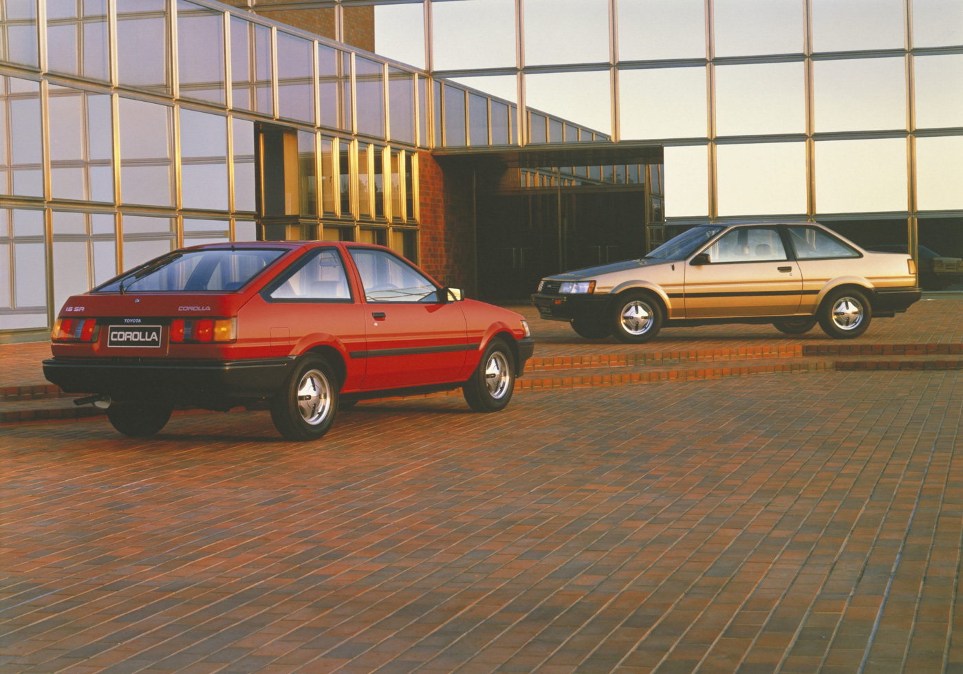 Corolla (12).JPG