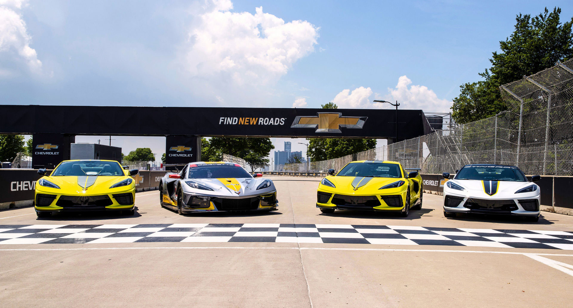Corvette C8 Limited Edition (3).JPG