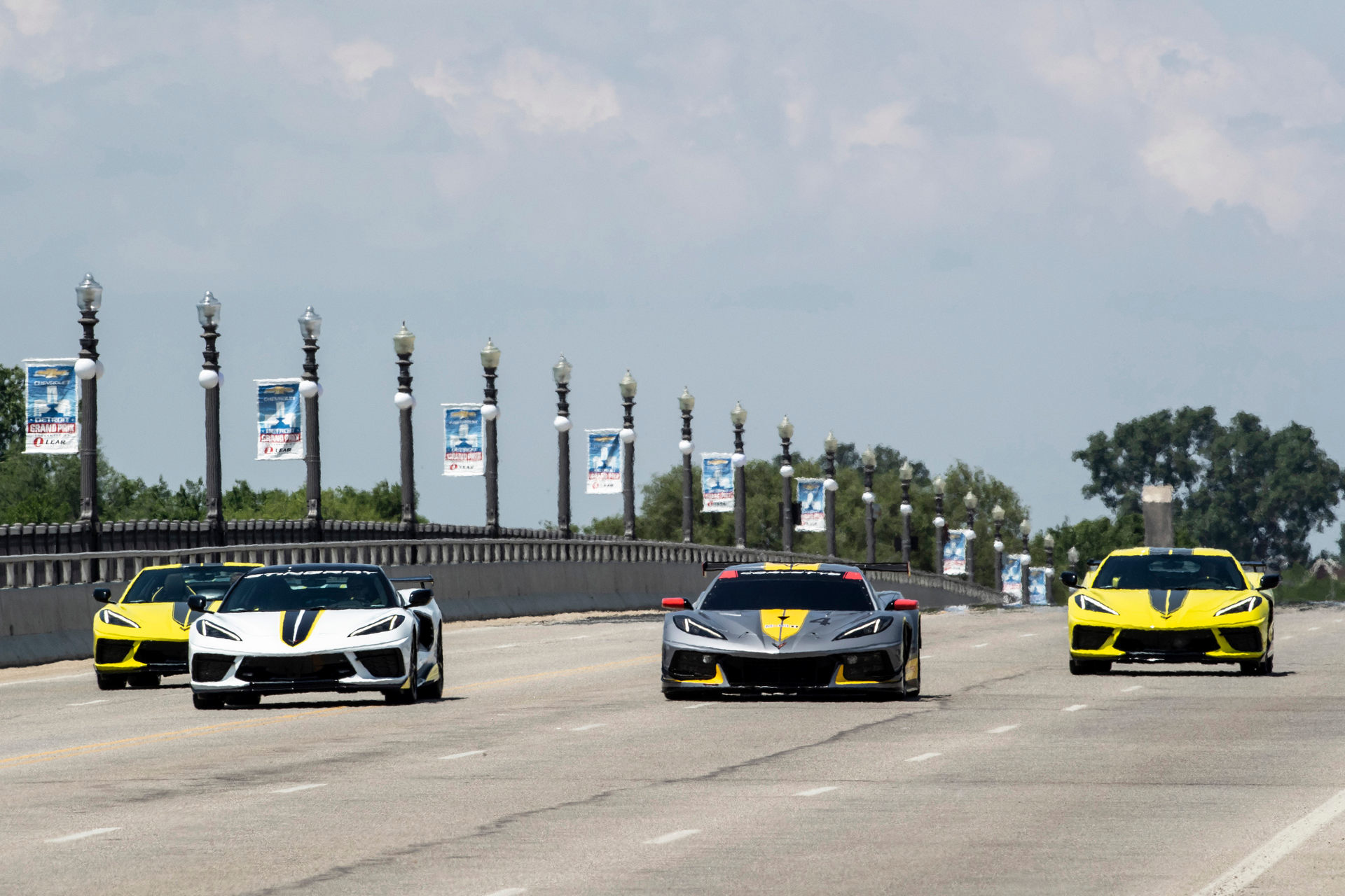 Corvette C8 Limited Edition (6).JPG