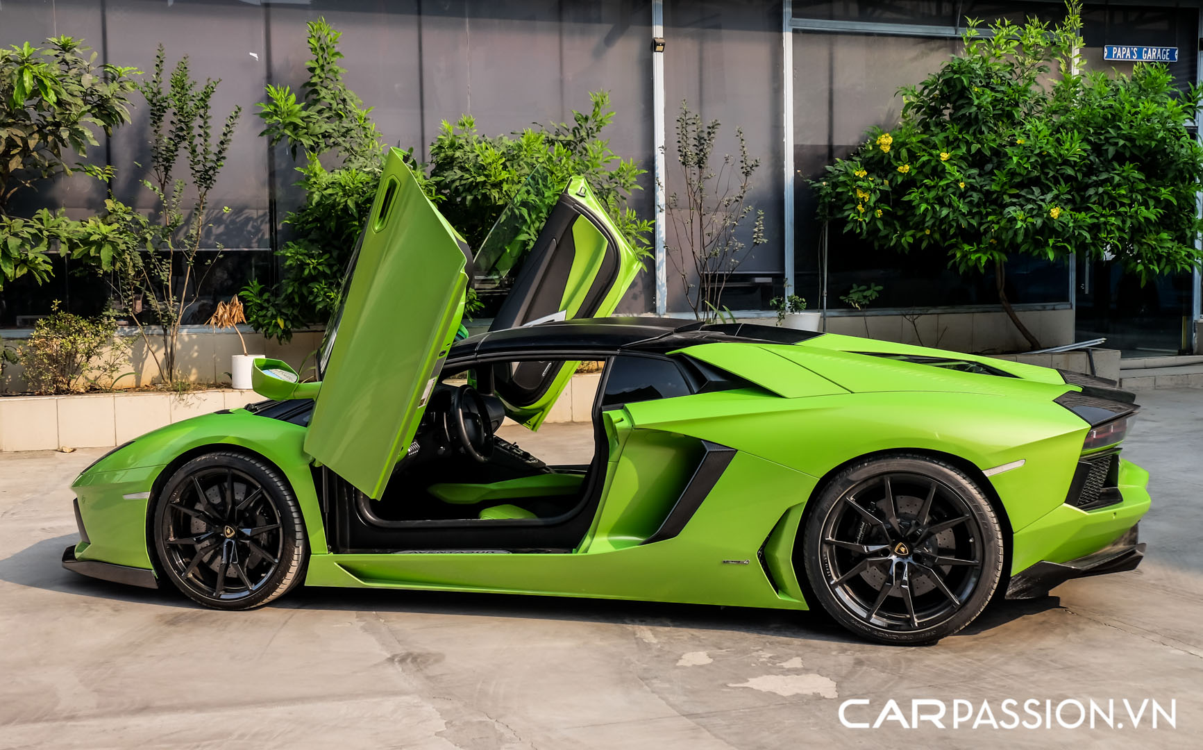 CP-Lamborghini Aventador Roadster LP700-4 (8).jpg