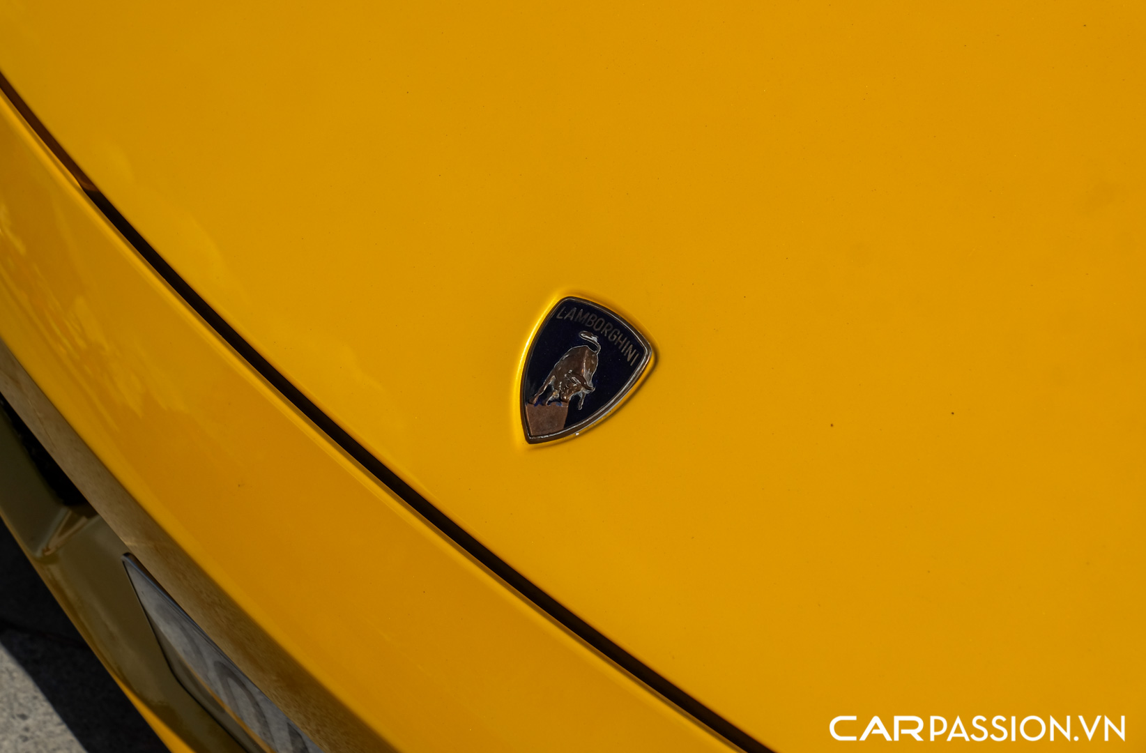 CP-Lamborghini Gallardo8.jpg