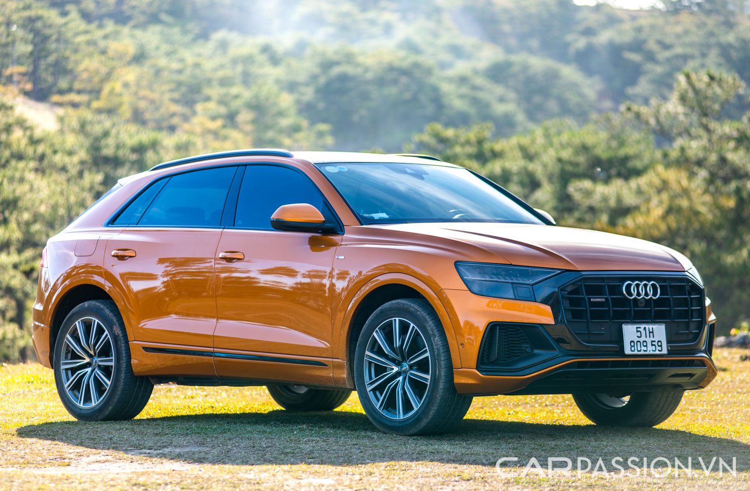 danh-gia-xe-audi-q8-anh--10.jpg