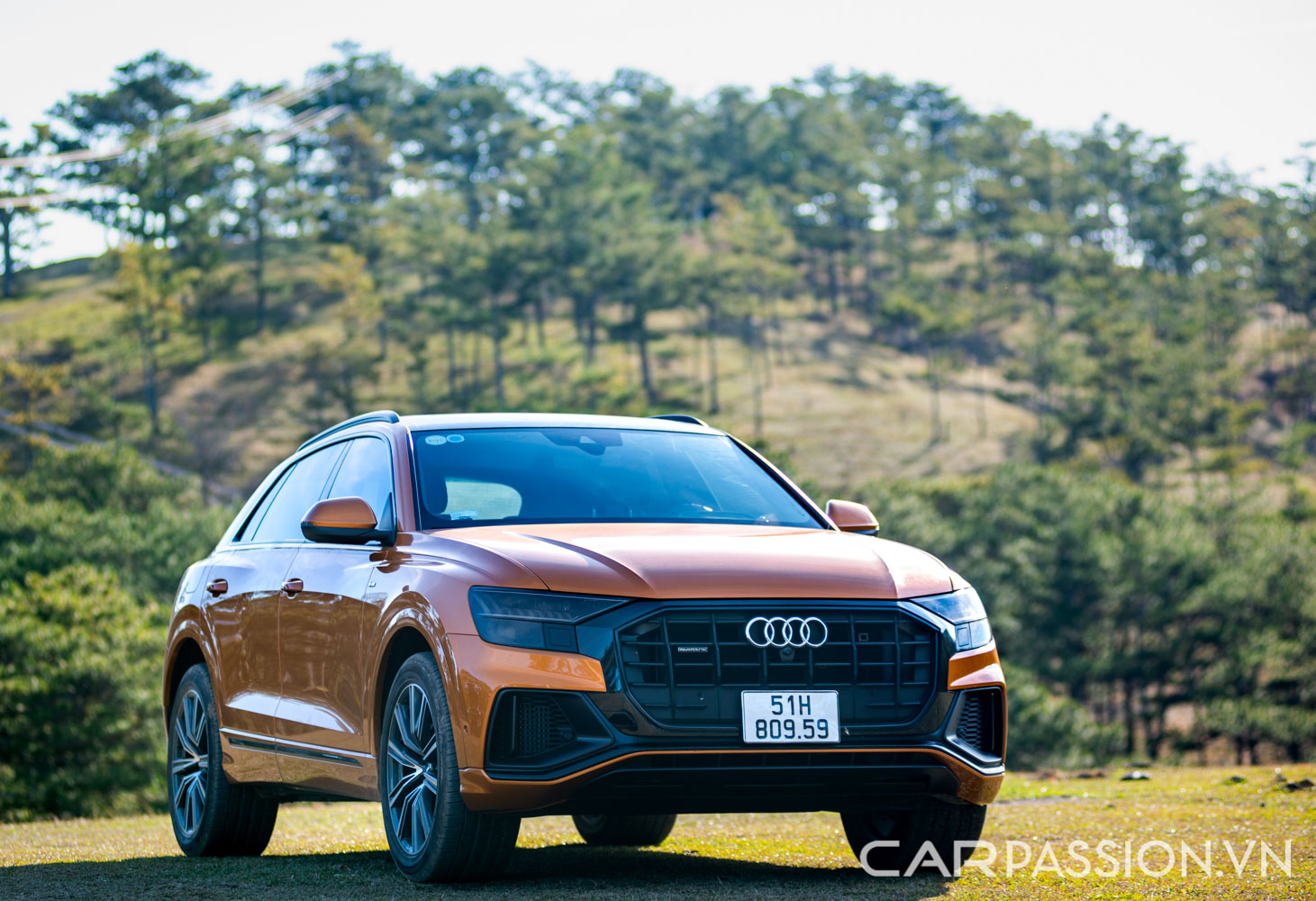 danh-gia-xe-audi-q8-anh--11.jpg