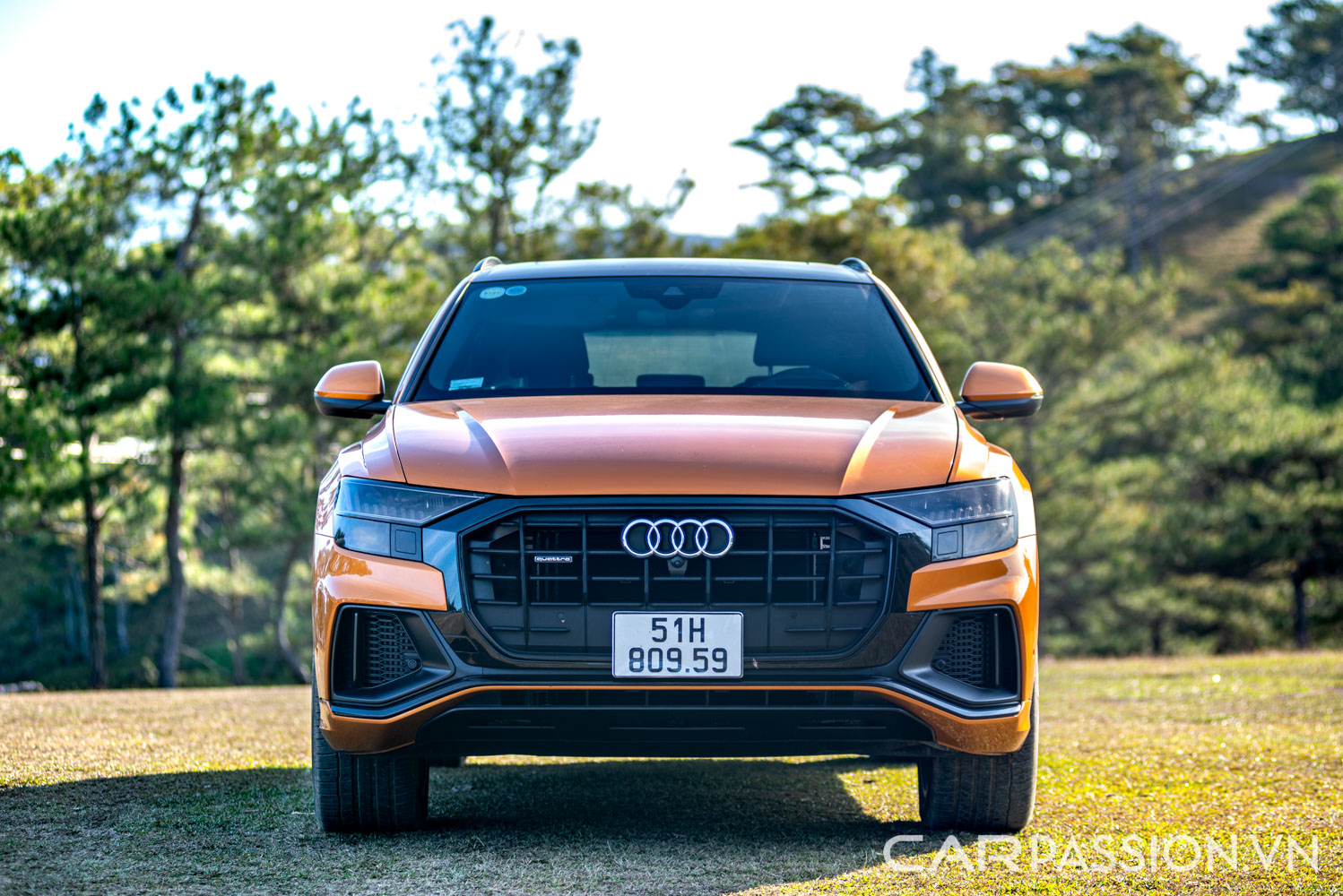 danh-gia-xe-audi-q8-anh--12.jpg