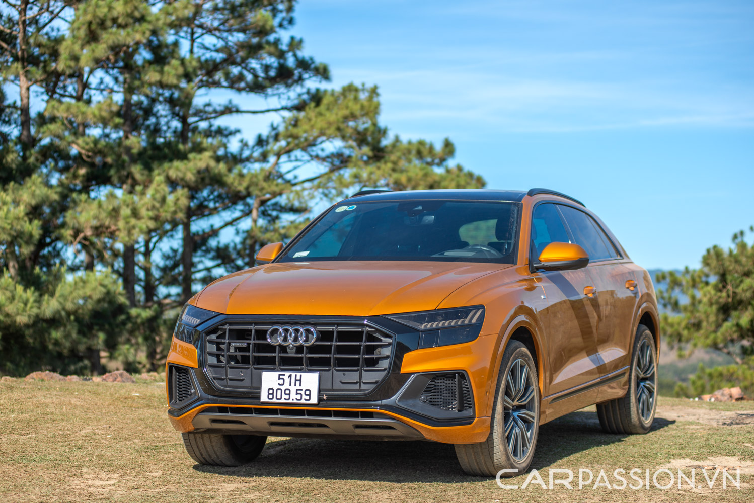 danh-gia-xe-audi-q8-anh--22.jpg