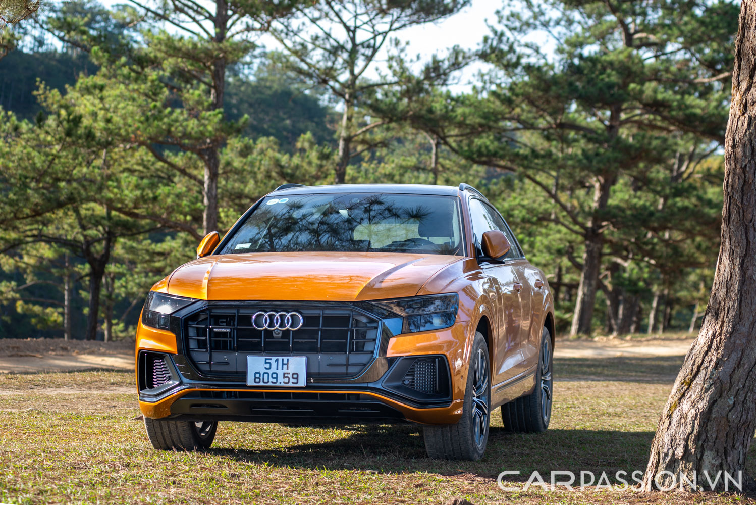 danh-gia-xe-audi-q8-anh--8.jpg