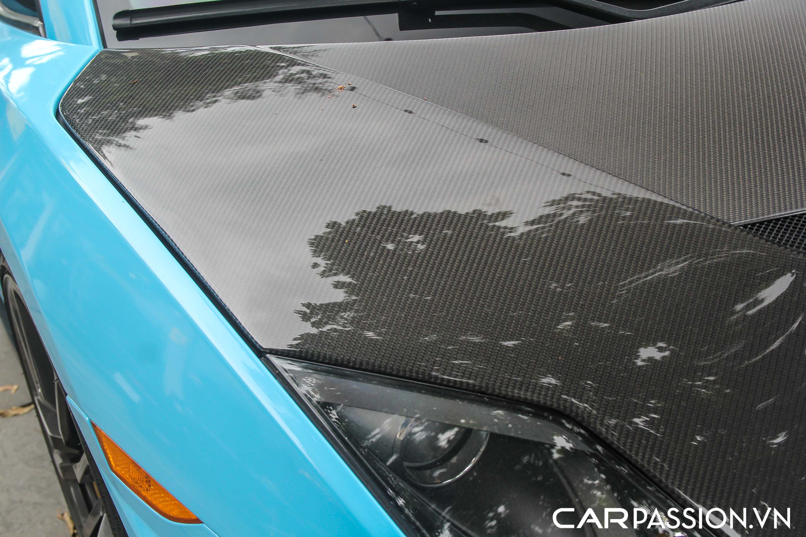 darwinpro gallardo (16).JPG