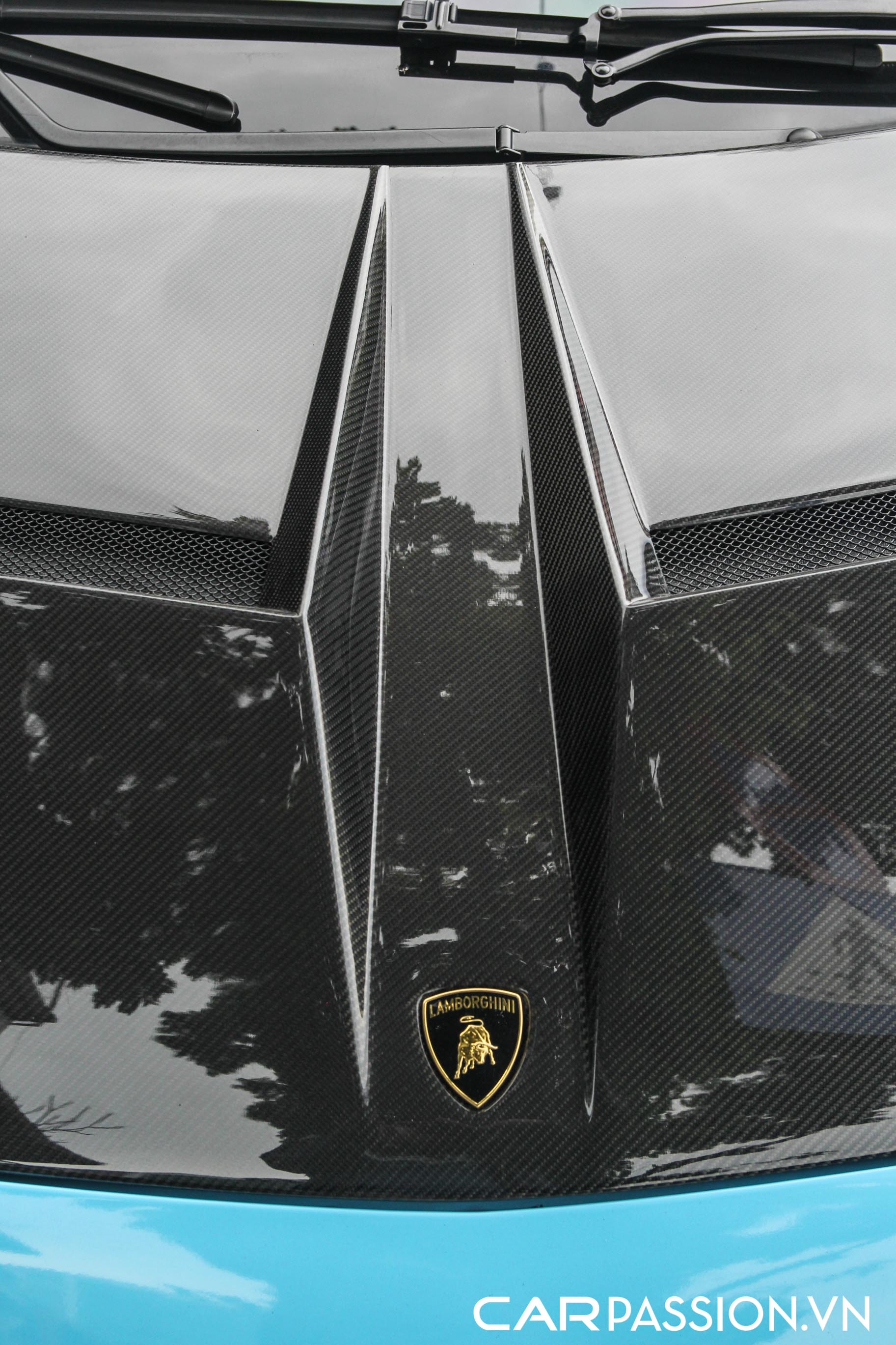 darwinpro gallardo (9).JPG