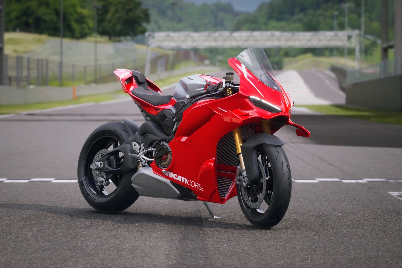 Ducati_Panigale_V4_R_8.jpeg