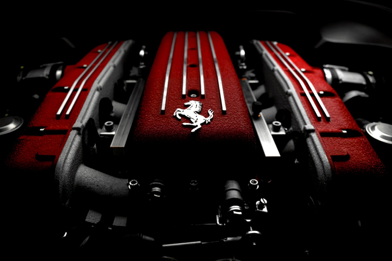 Ferrari (3).jpg