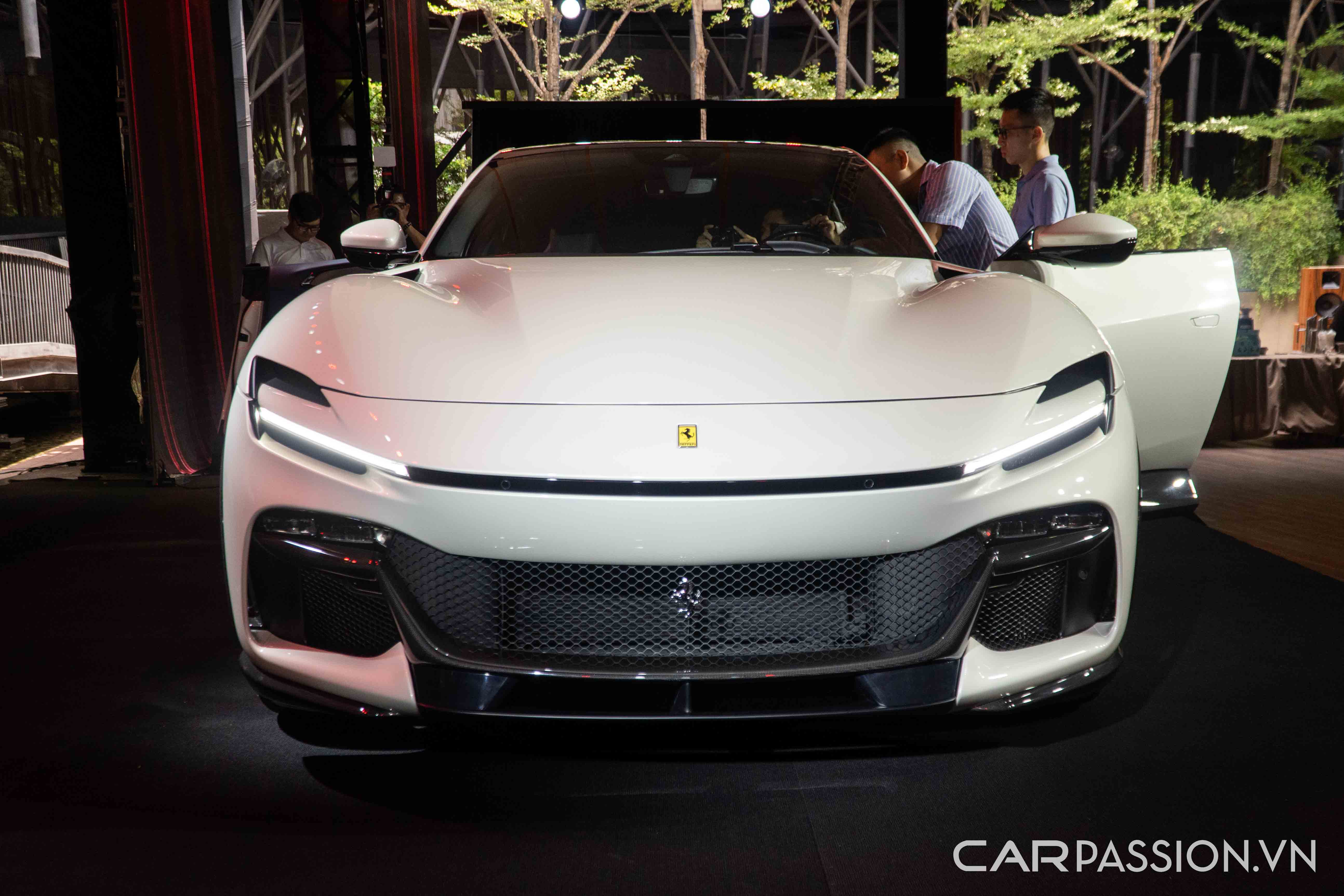 ferrari-purosangue-anh--17.jpg